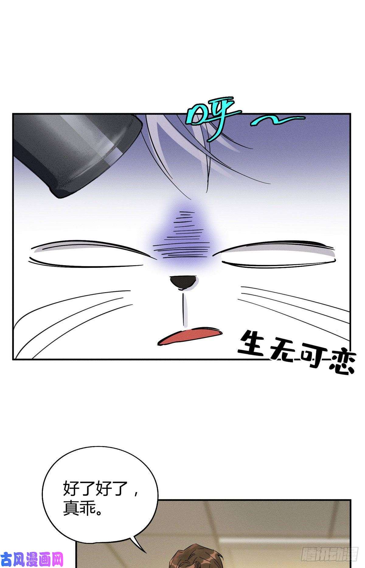 今天也要努力当只猫第18话 好哥哥