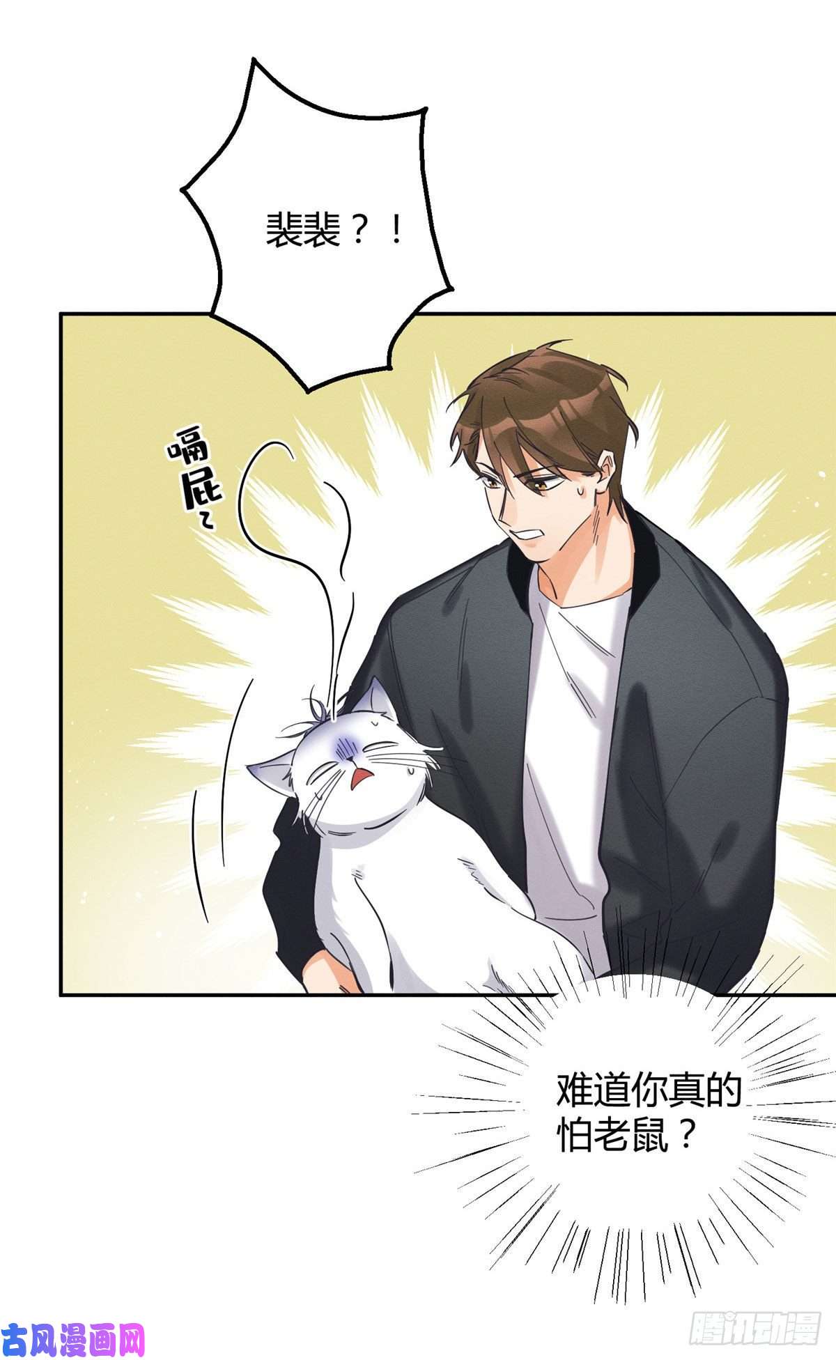 今天也要努力当只猫第18话 好哥哥