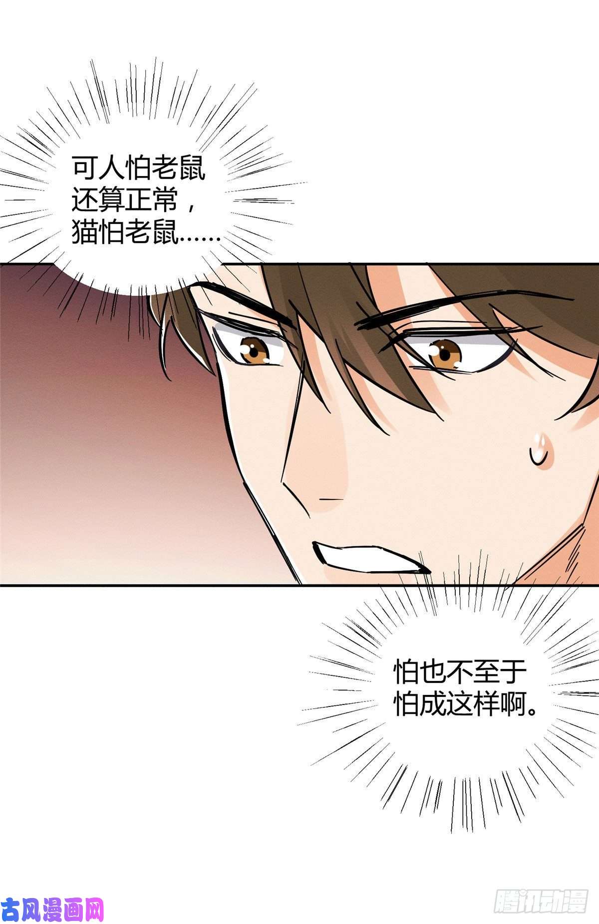 今天也要努力当只猫第18话 好哥哥