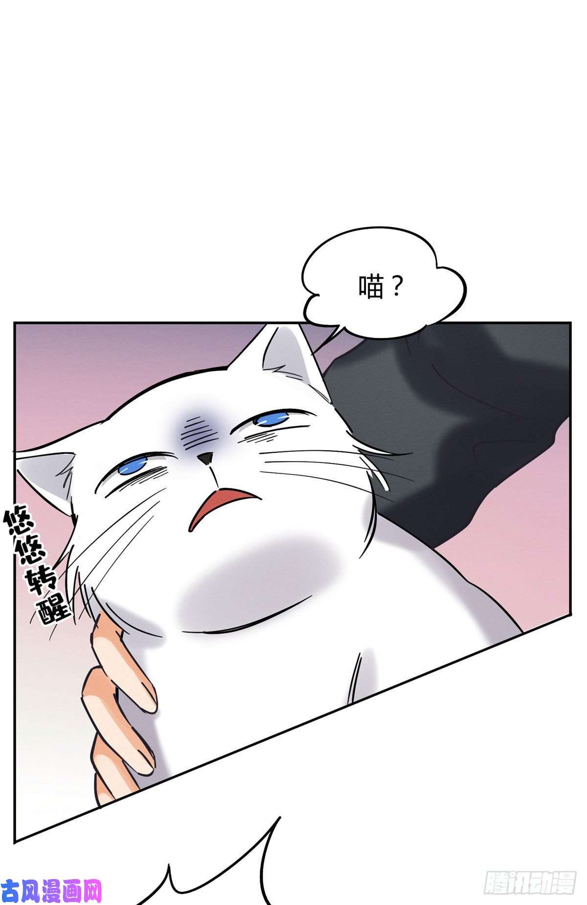 今天也要努力当只猫第18话 好哥哥