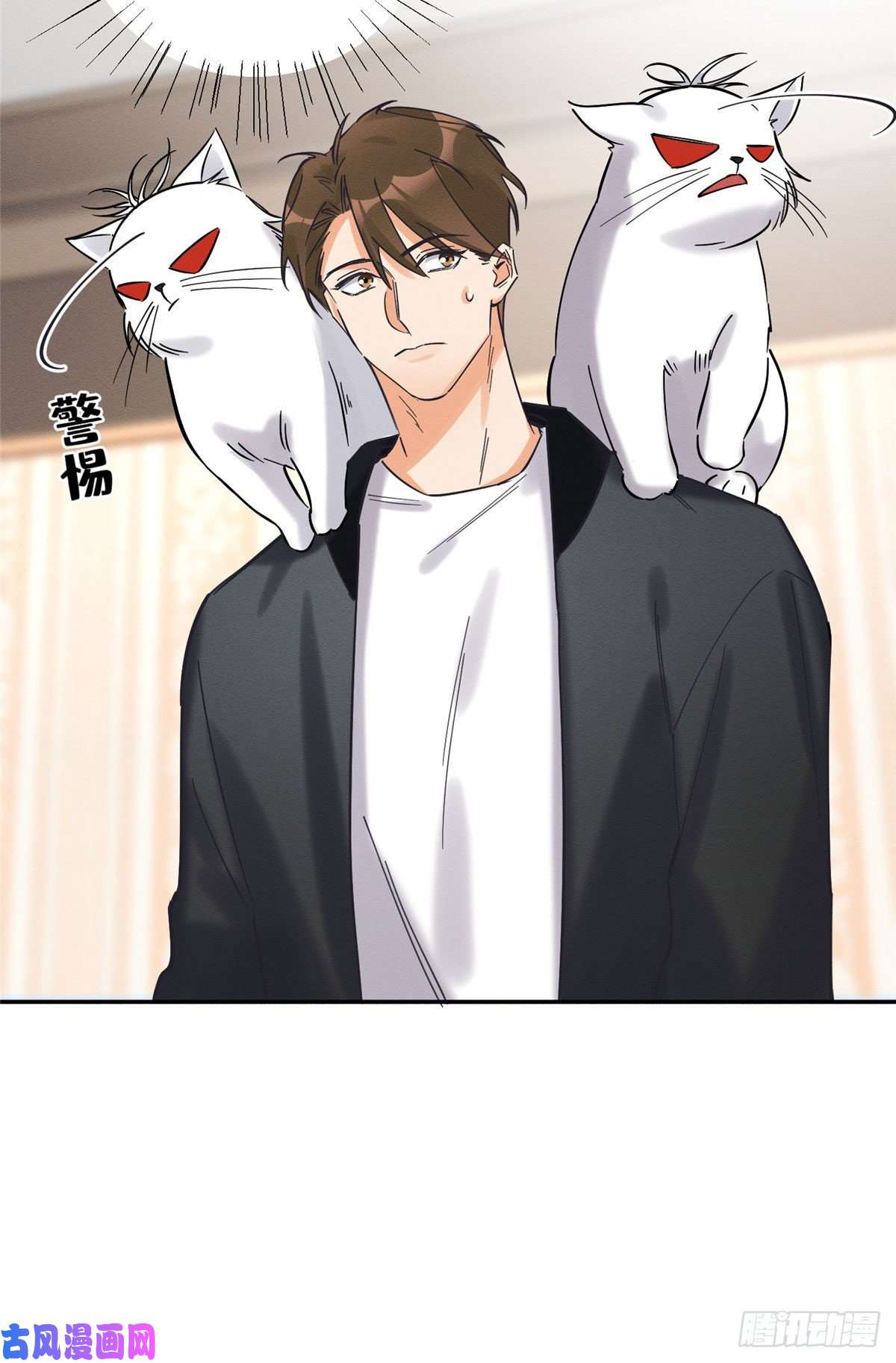 今天也要努力当只猫第18话 好哥哥