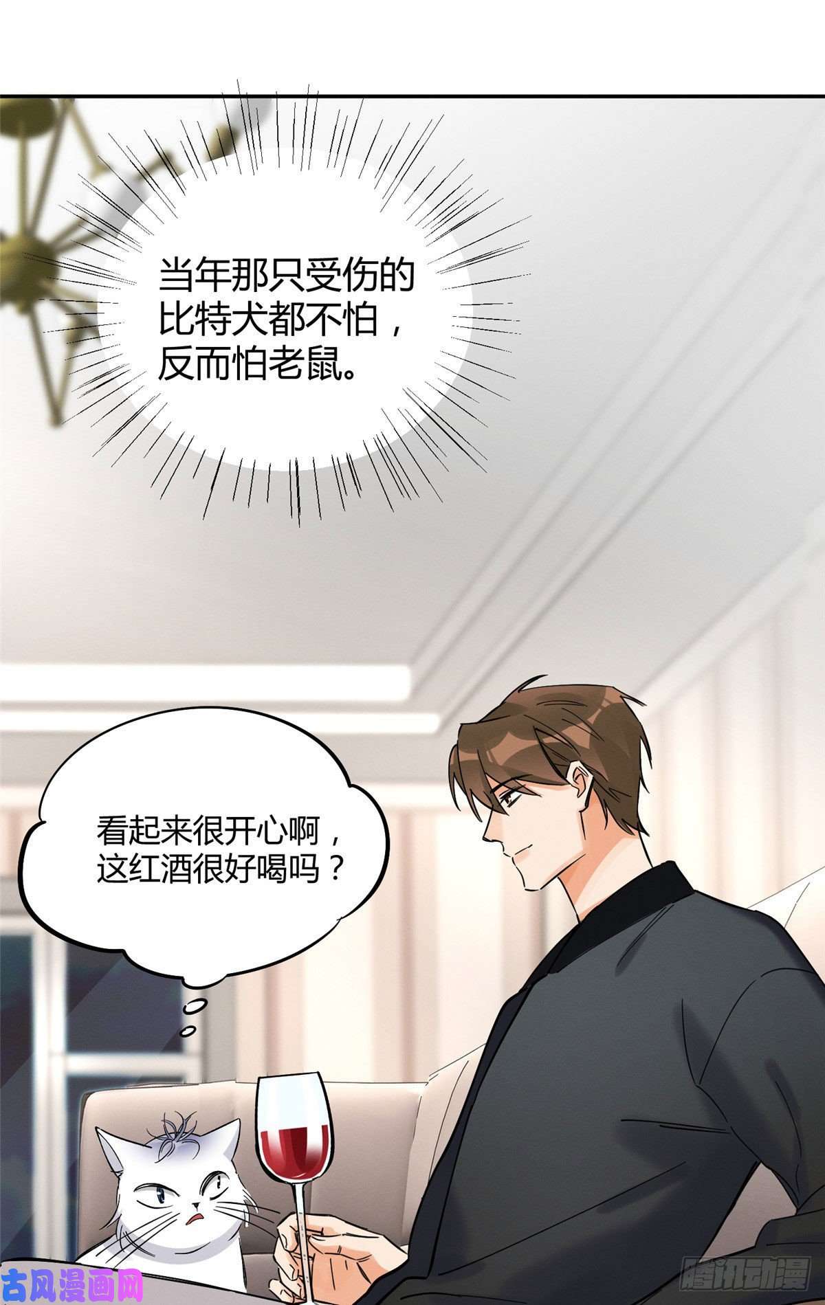 今天也要努力当只猫第18话 好哥哥