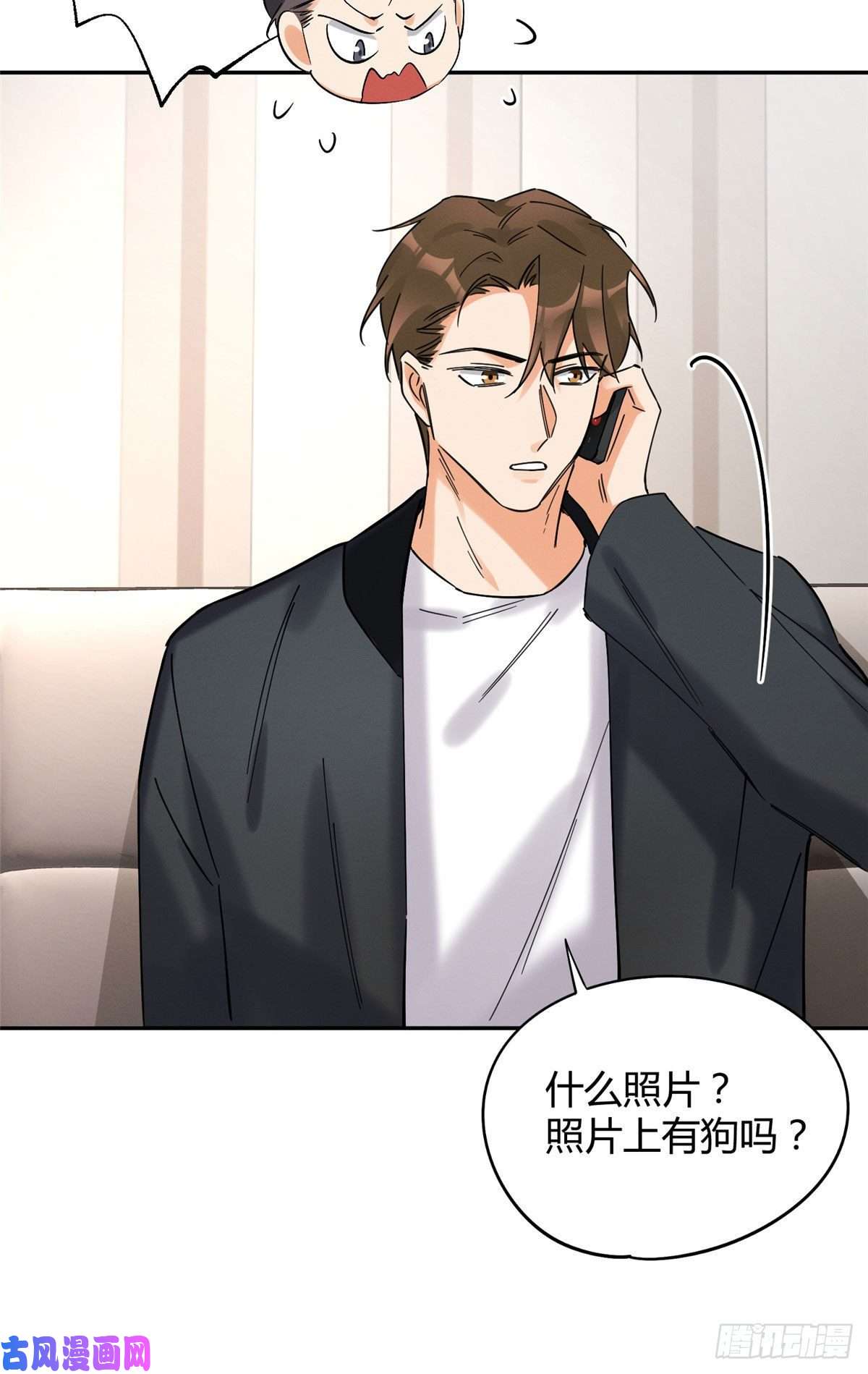 今天也要努力当只猫第18话 好哥哥