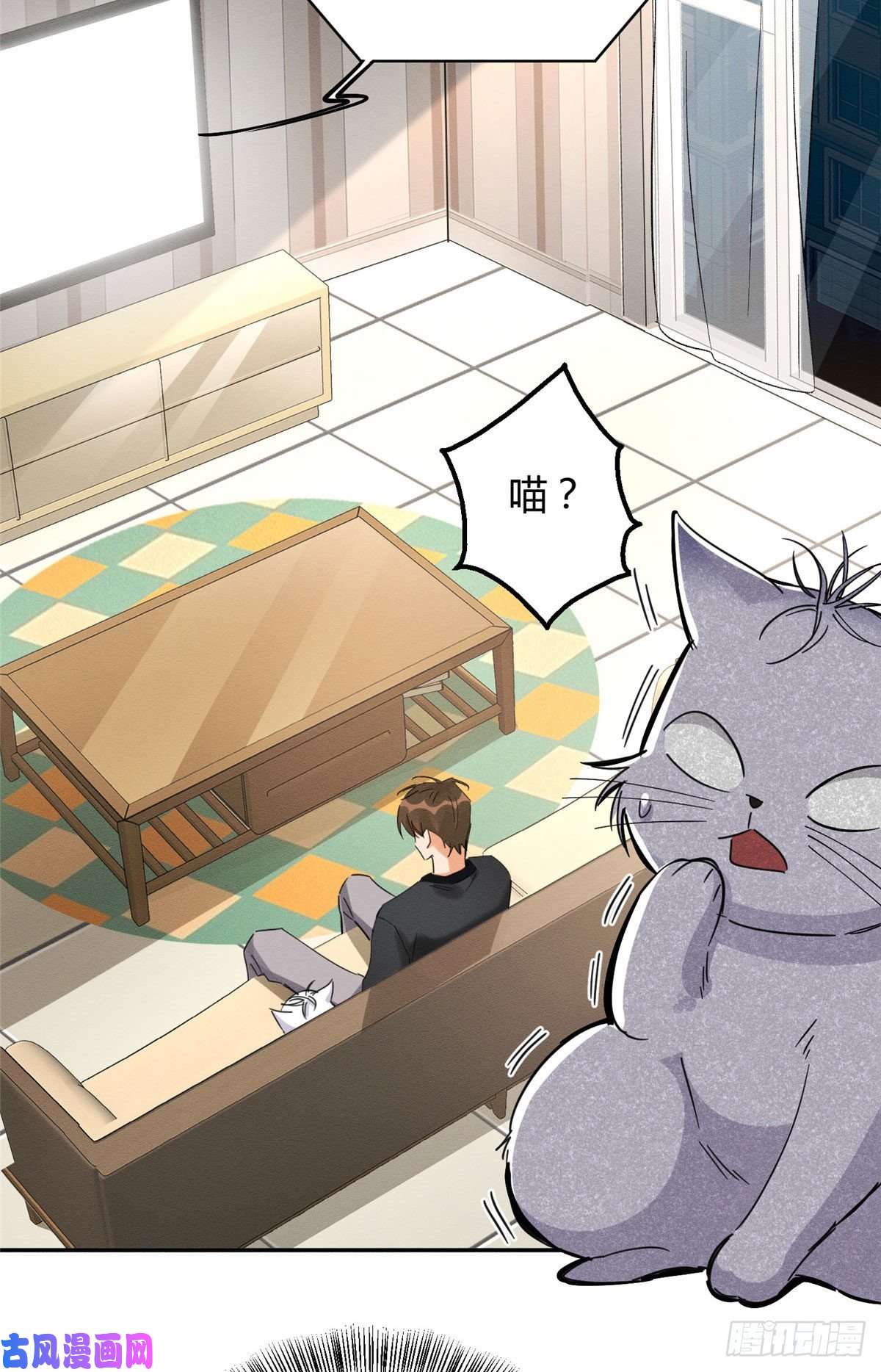 今天也要努力当只猫第18话 好哥哥