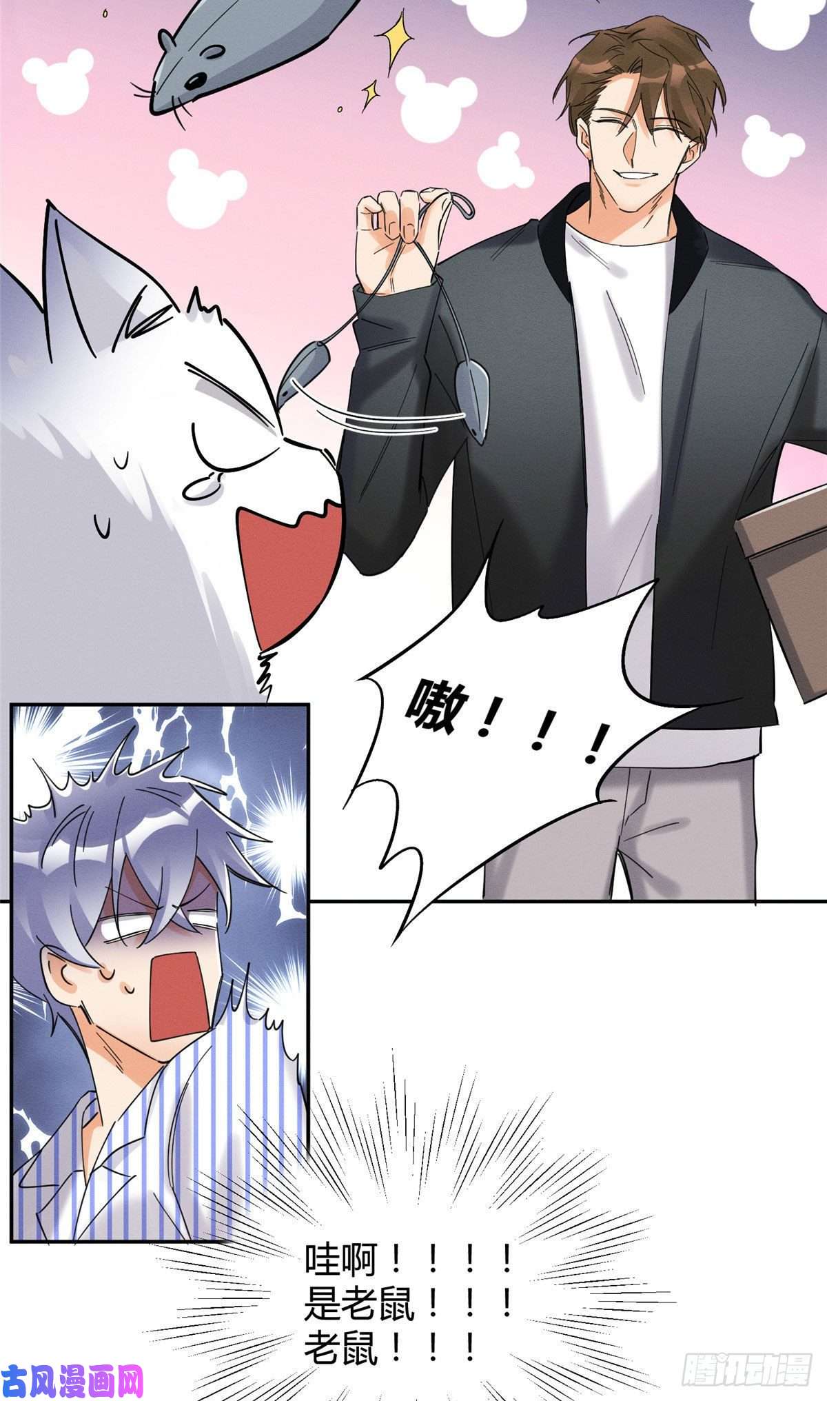 今天也要努力当只猫第18话 好哥哥