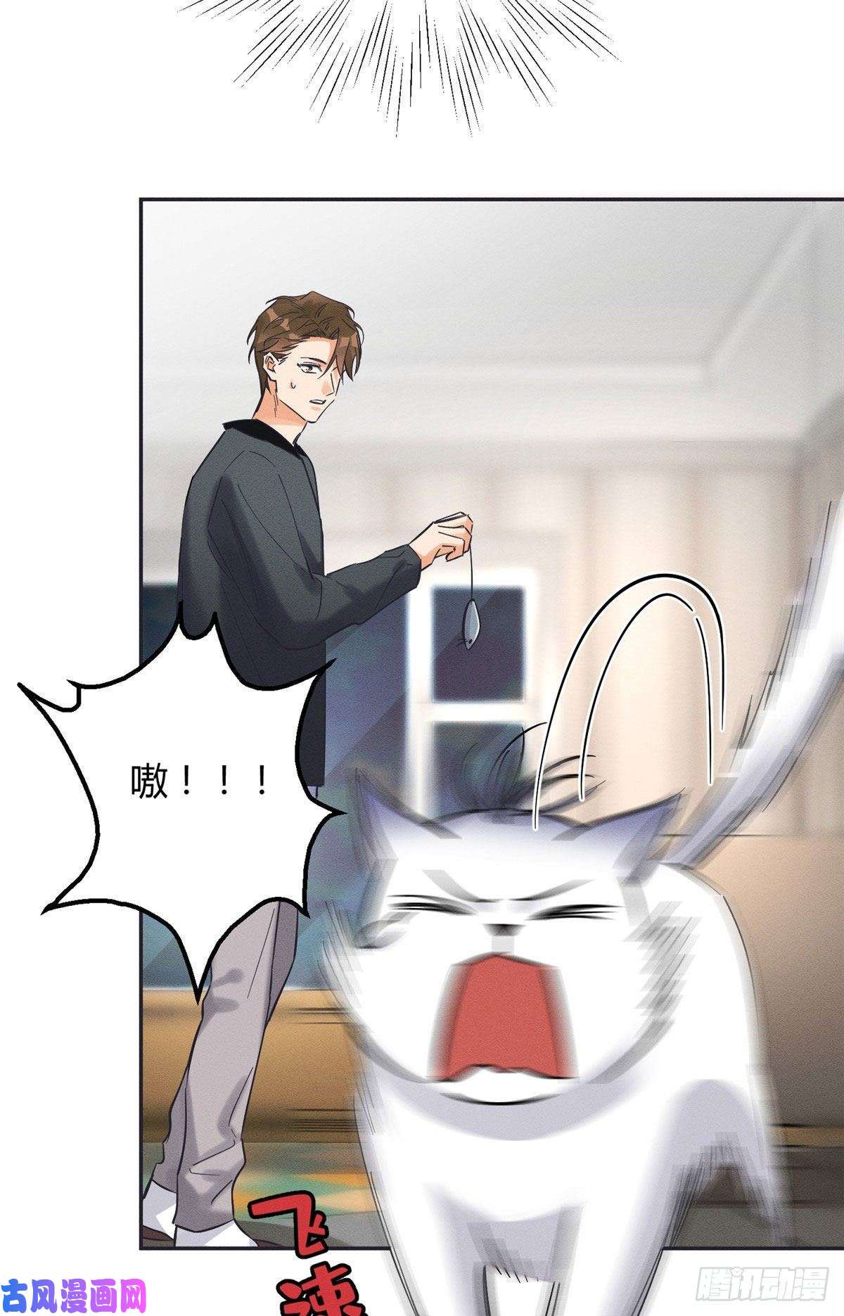 今天也要努力当只猫第18话 好哥哥