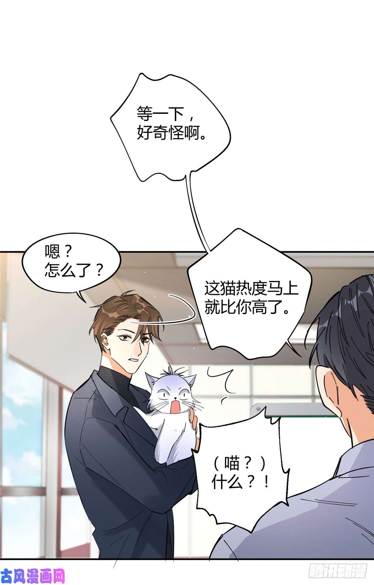 今天也要努力当只猫第19话 营业！