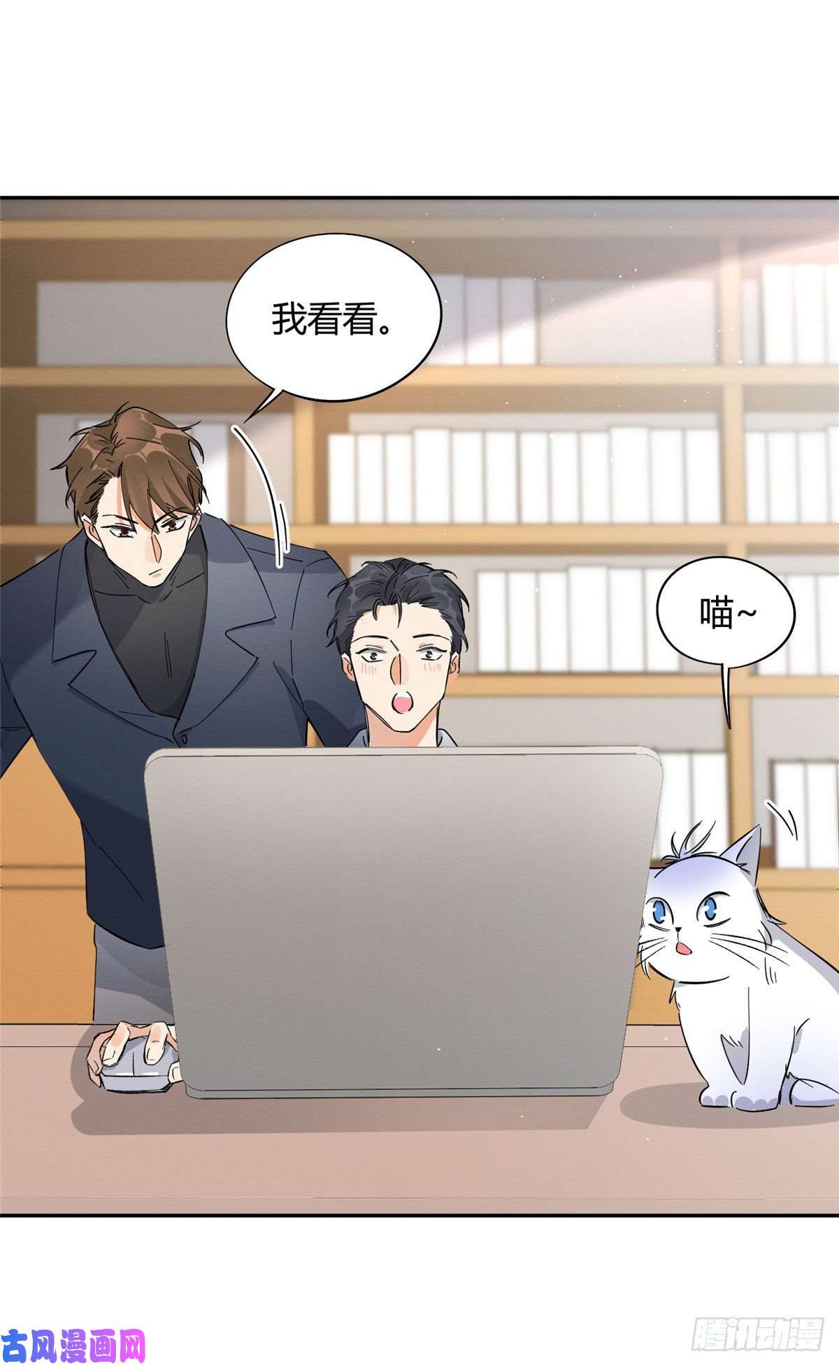 今天也要努力当只猫第19话 营业！