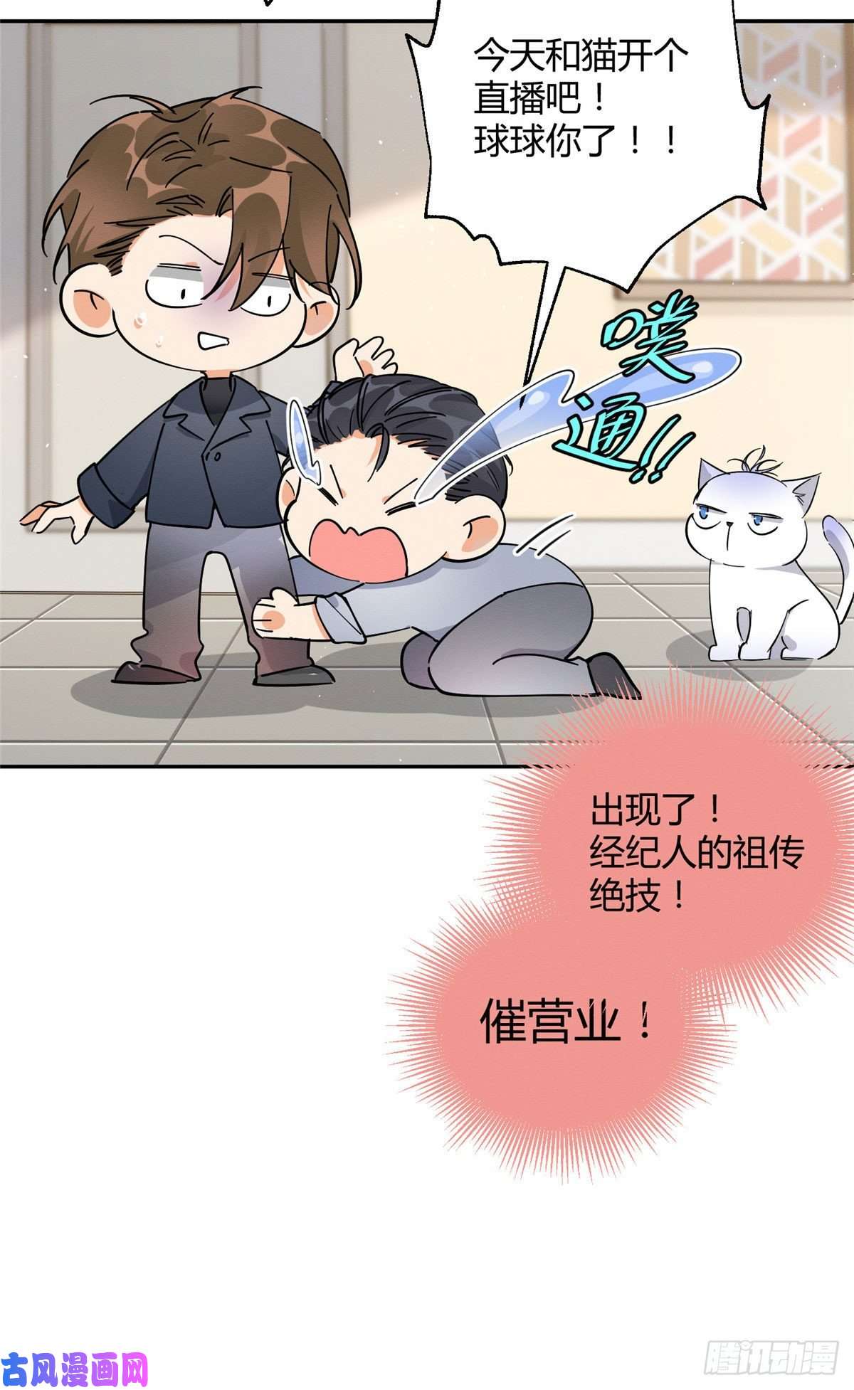 今天也要努力当只猫第19话 营业！