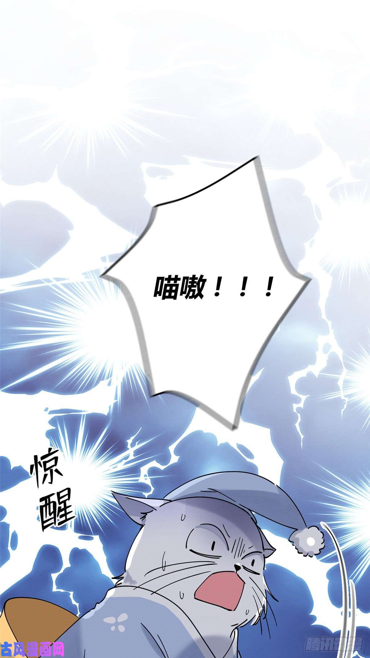 今天也要努力当只猫第20话 喜欢我吗