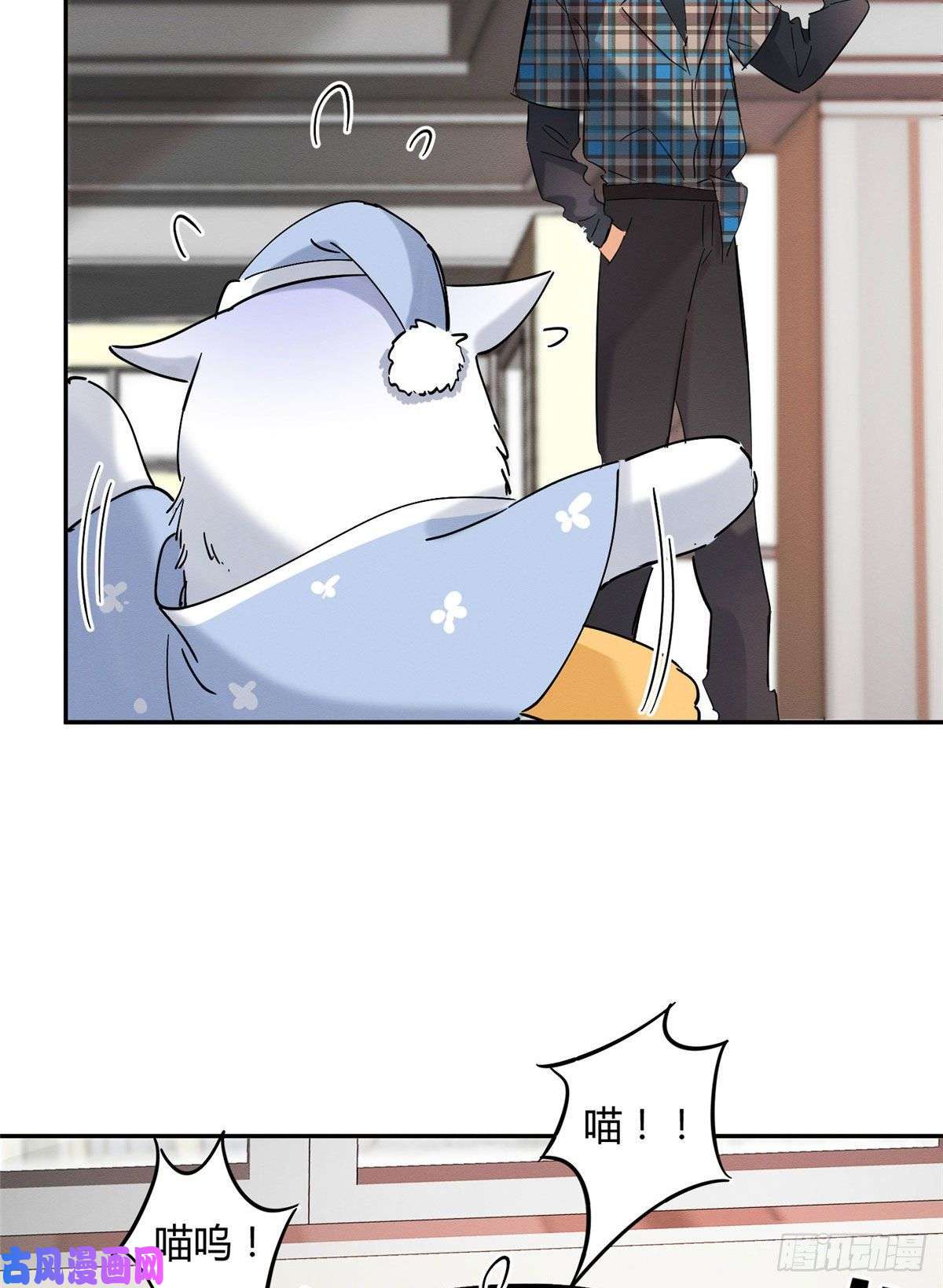 今天也要努力当只猫第20话 喜欢我吗