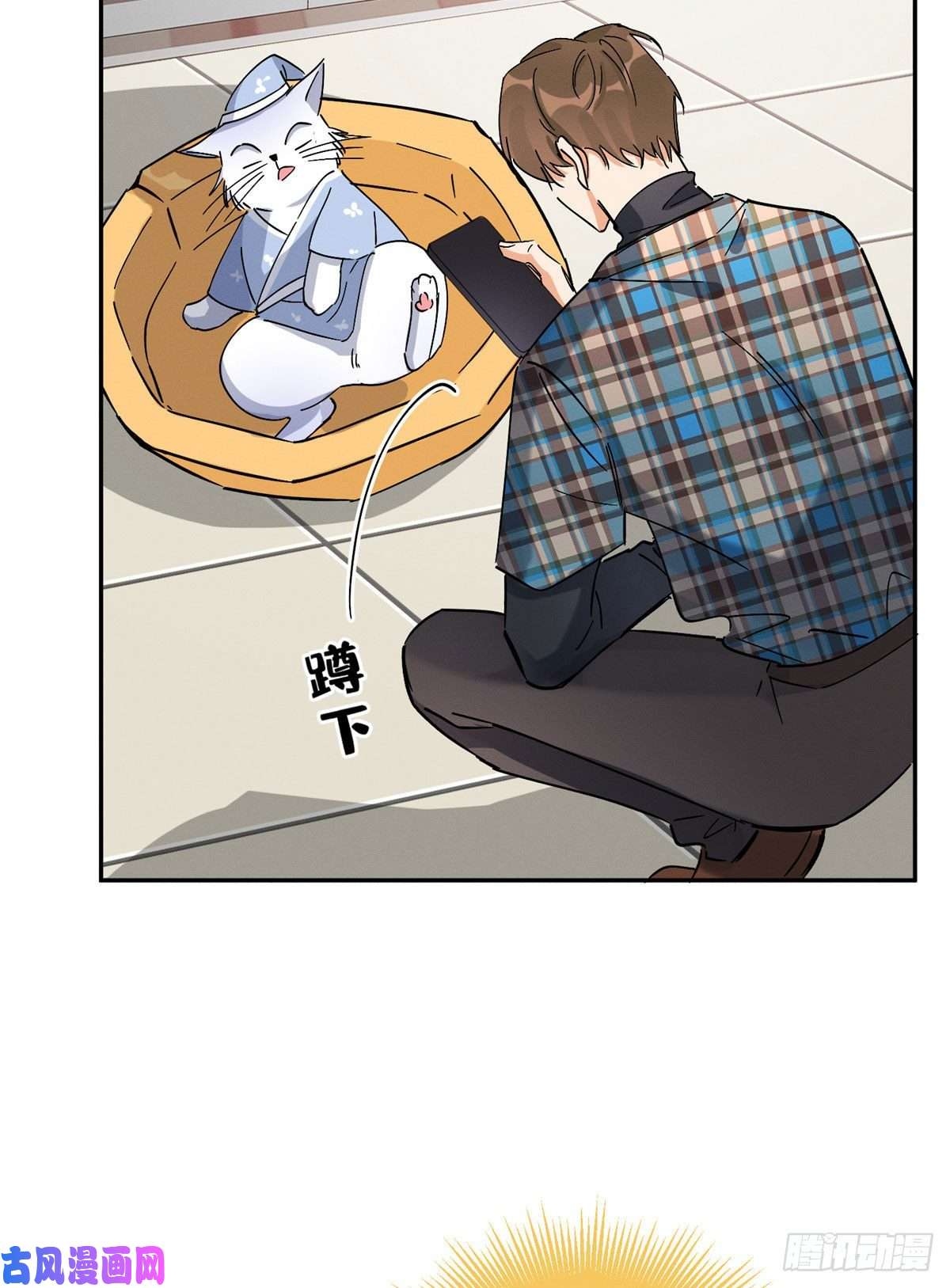 今天也要努力当只猫第20话 喜欢我吗