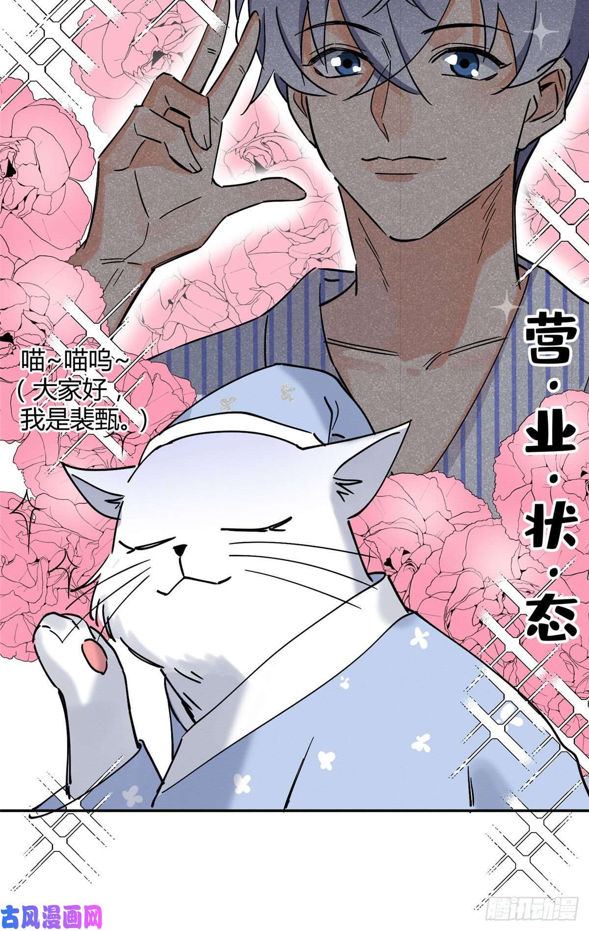 今天也要努力当只猫第20话 喜欢我吗