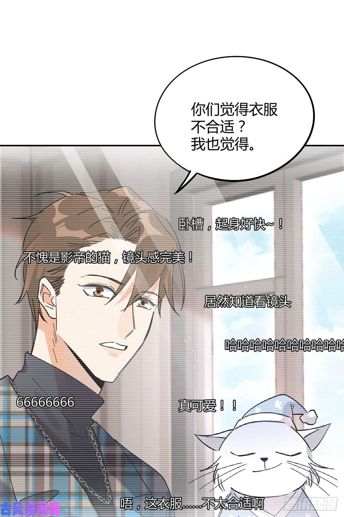 今天也要努力当只猫第20话 喜欢我吗