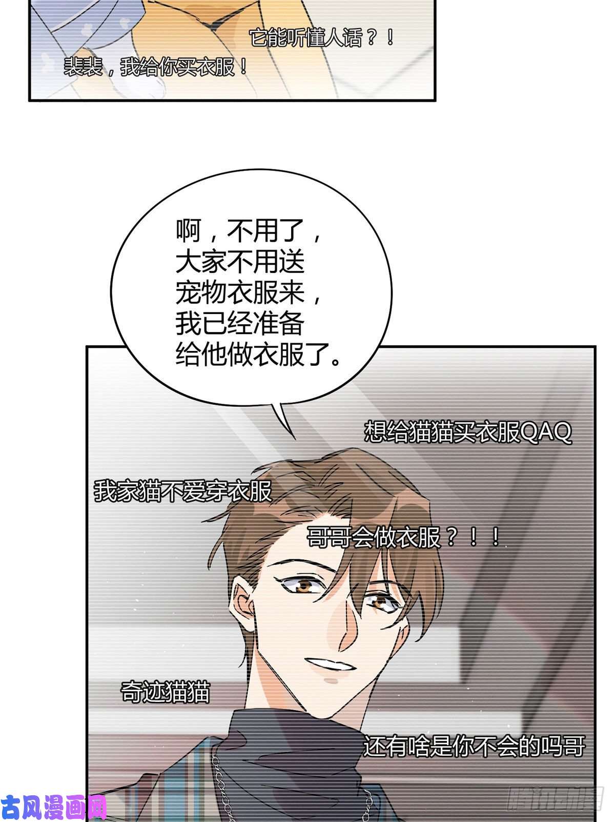 今天也要努力当只猫第20话 喜欢我吗