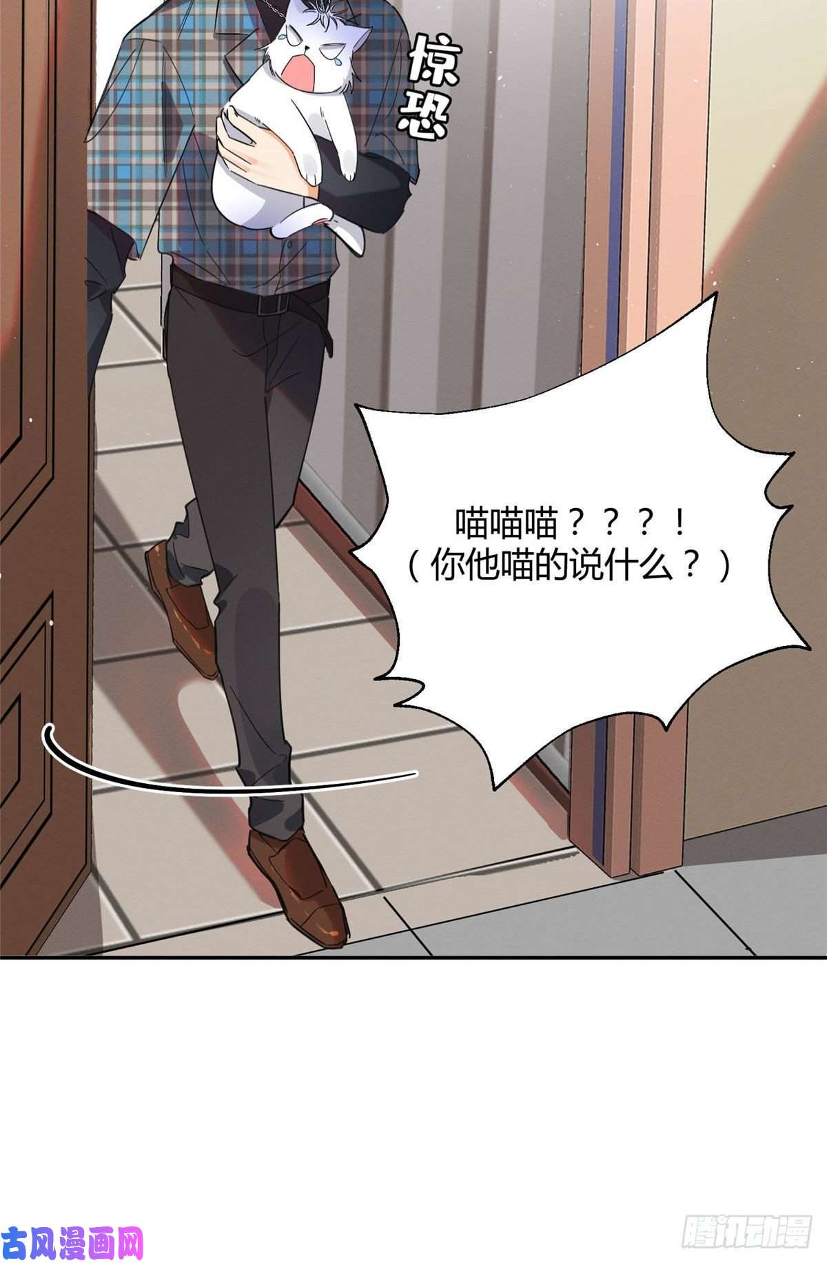 今天也要努力当只猫第22话 大变态——！