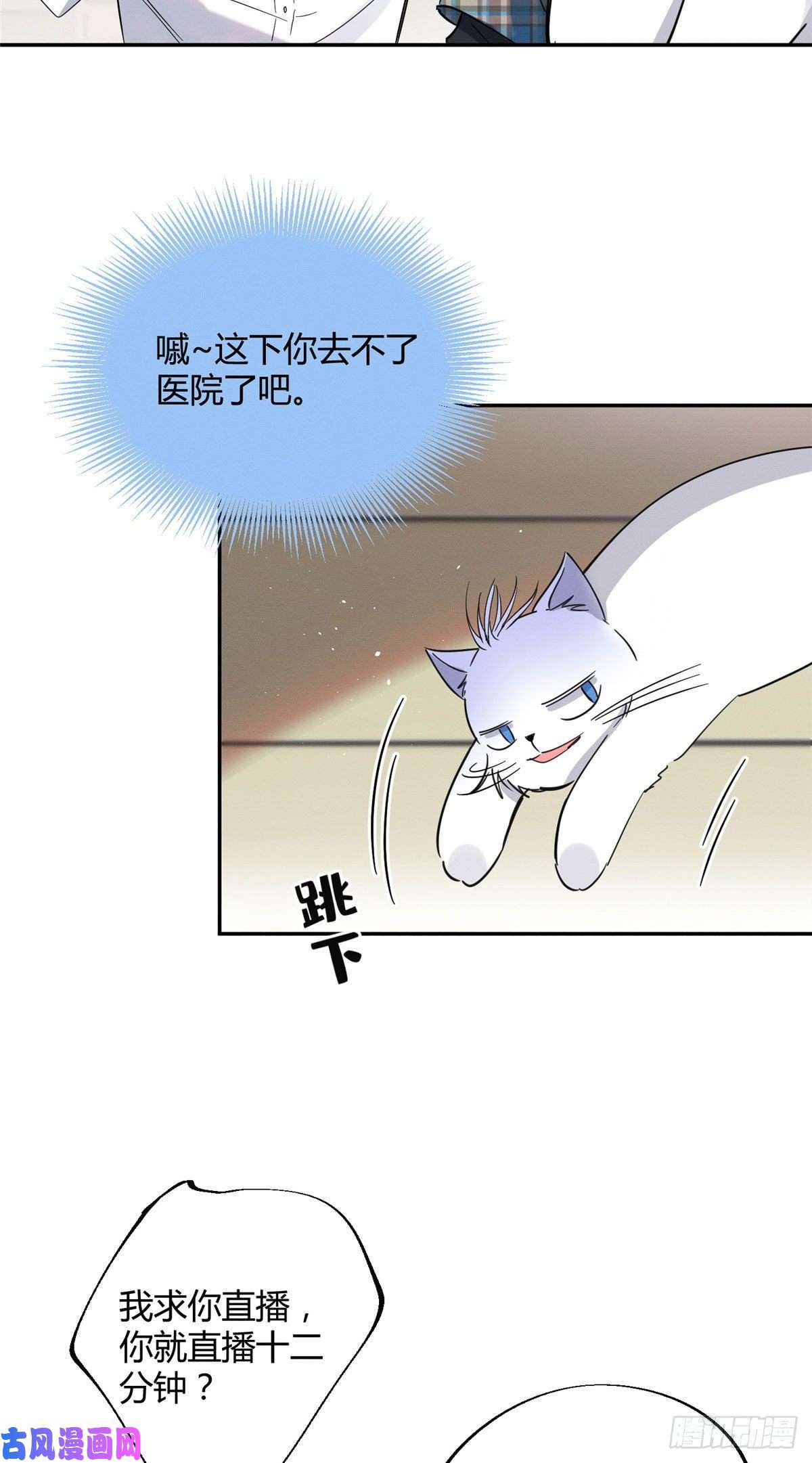 今天也要努力当只猫第22话 大变态——！