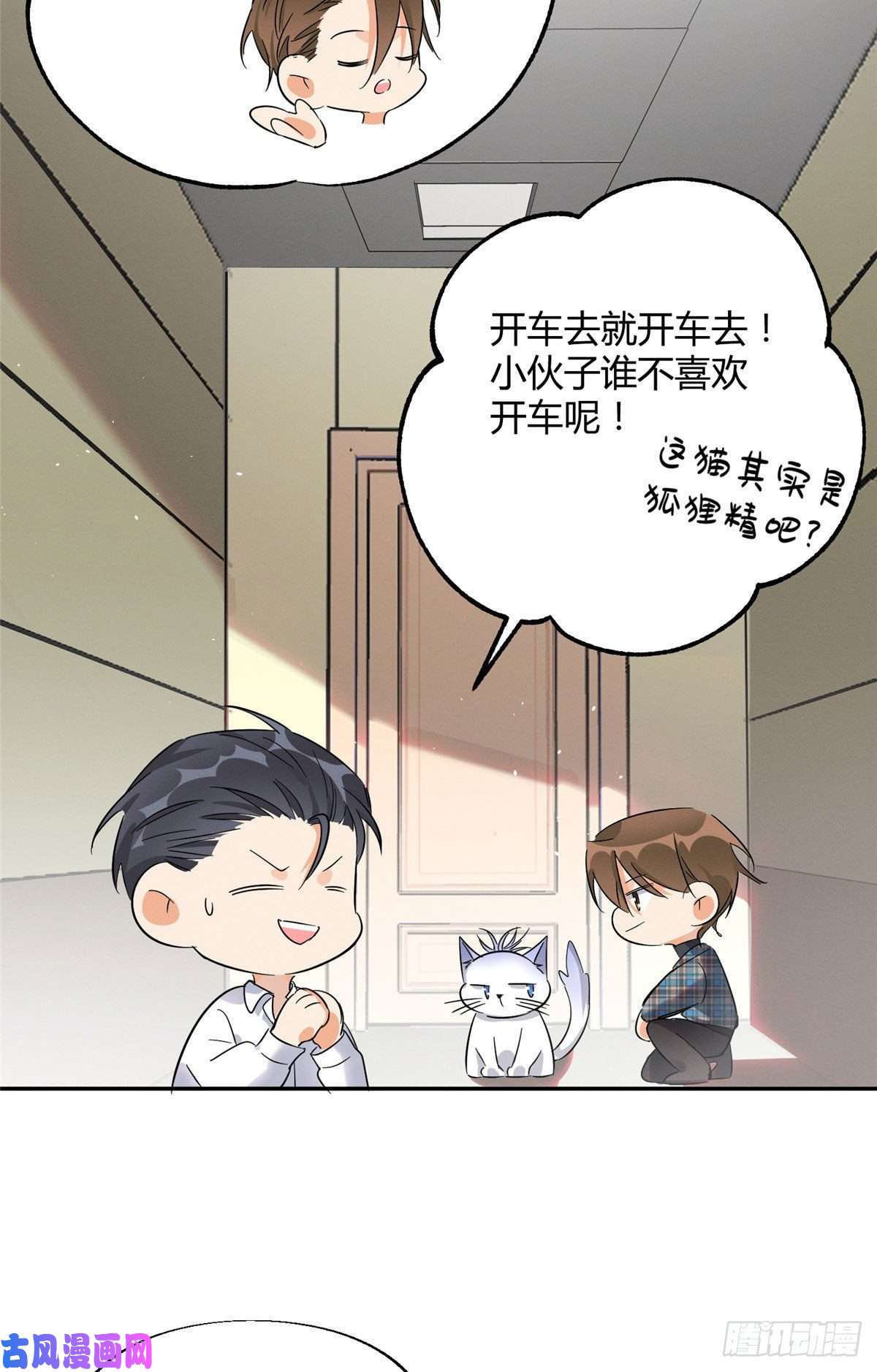 今天也要努力当只猫第22话 大变态——！