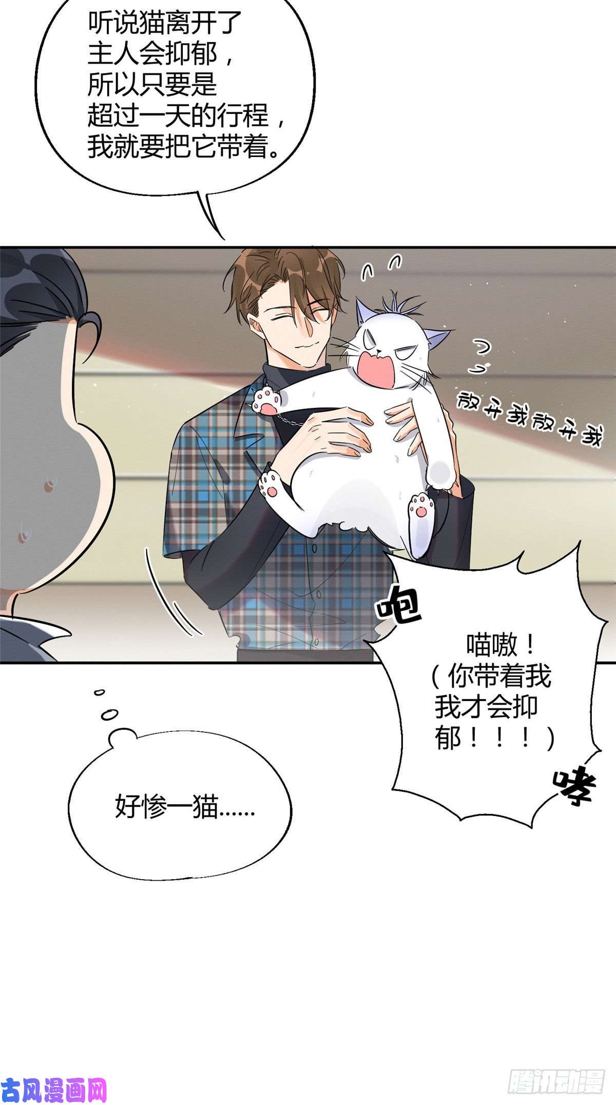 今天也要努力当只猫第22话 大变态——！