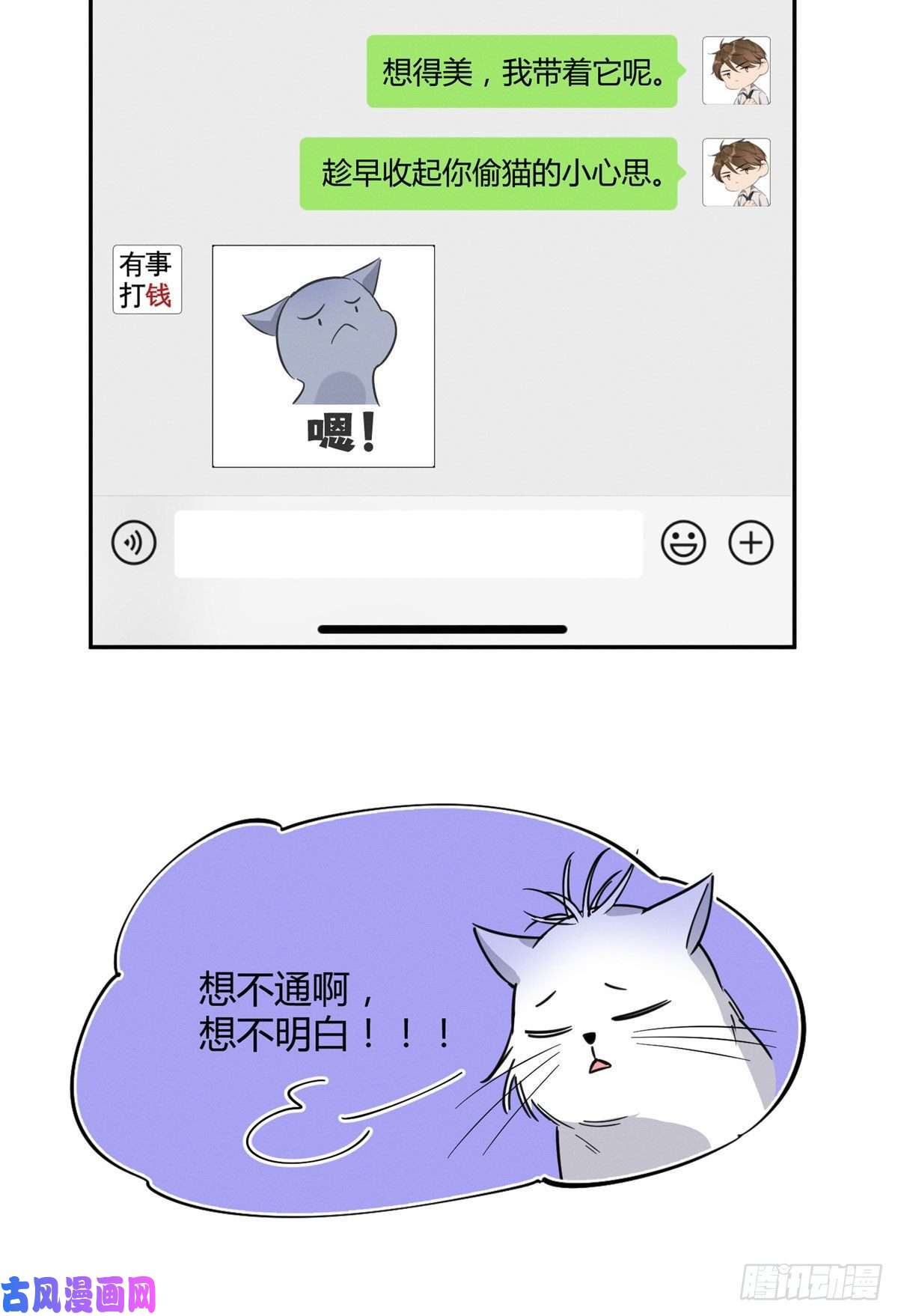 今天也要努力当只猫第22话 大变态——！