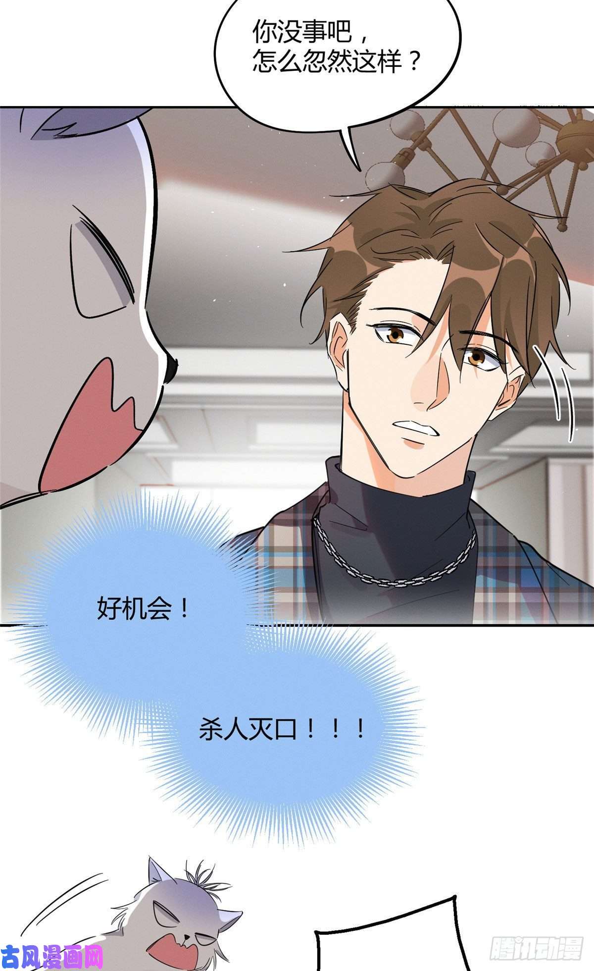 今天也要努力当只猫第22话 大变态——！