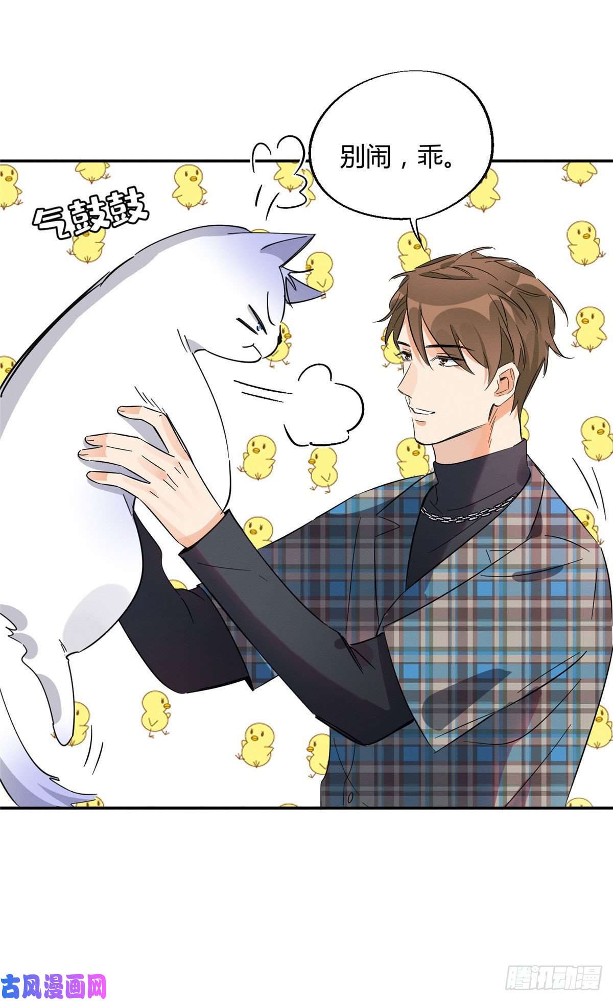 今天也要努力当只猫第22话 大变态——！