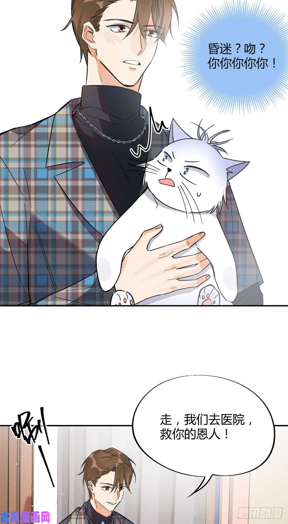 今天也要努力当只猫第22话 大变态——！