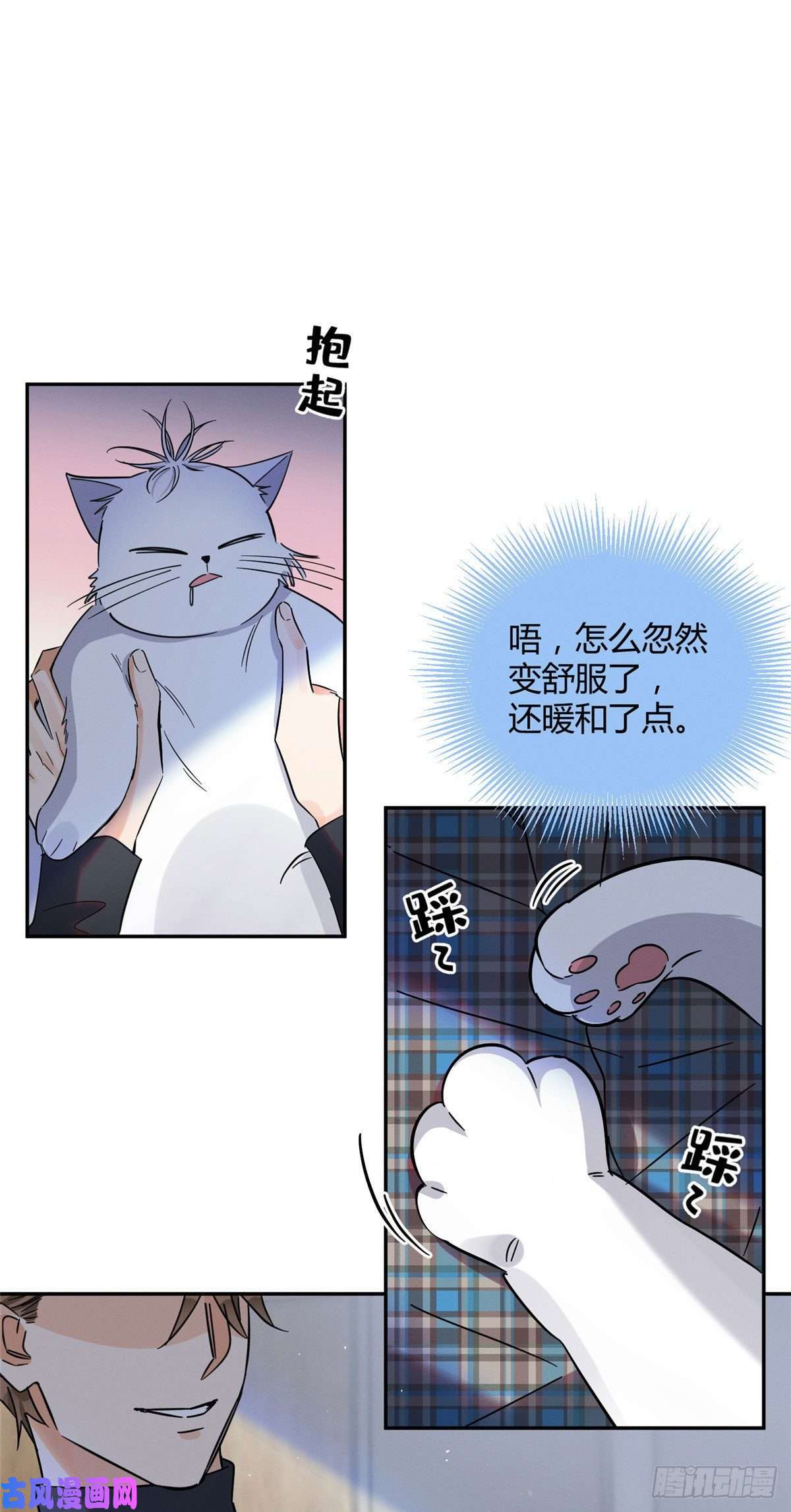 今天也要努力当只猫第23话 机会来了！