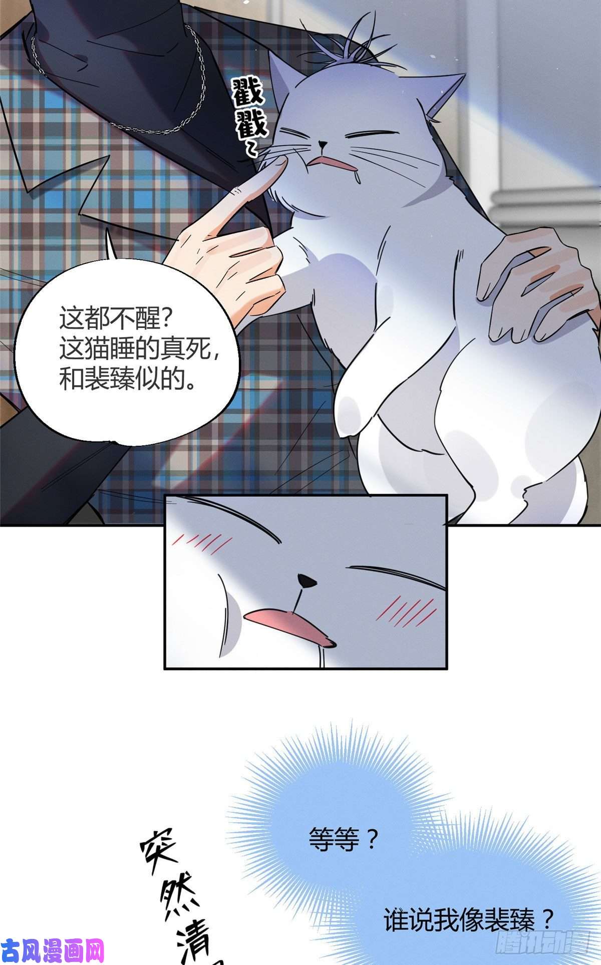 今天也要努力当只猫第23话 机会来了！