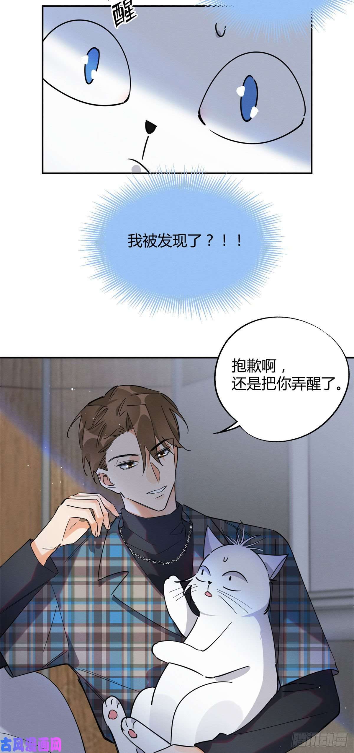 今天也要努力当只猫第23话 机会来了！