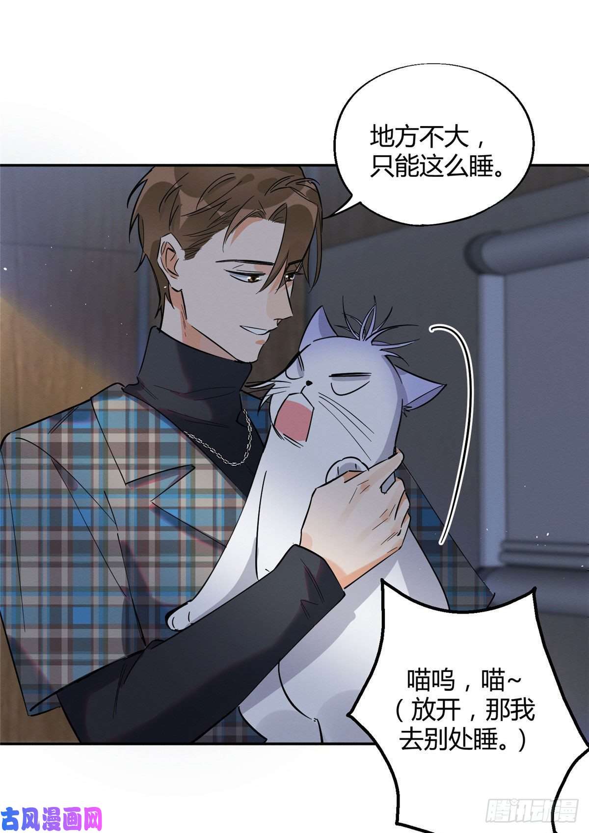 今天也要努力当只猫第23话 机会来了！