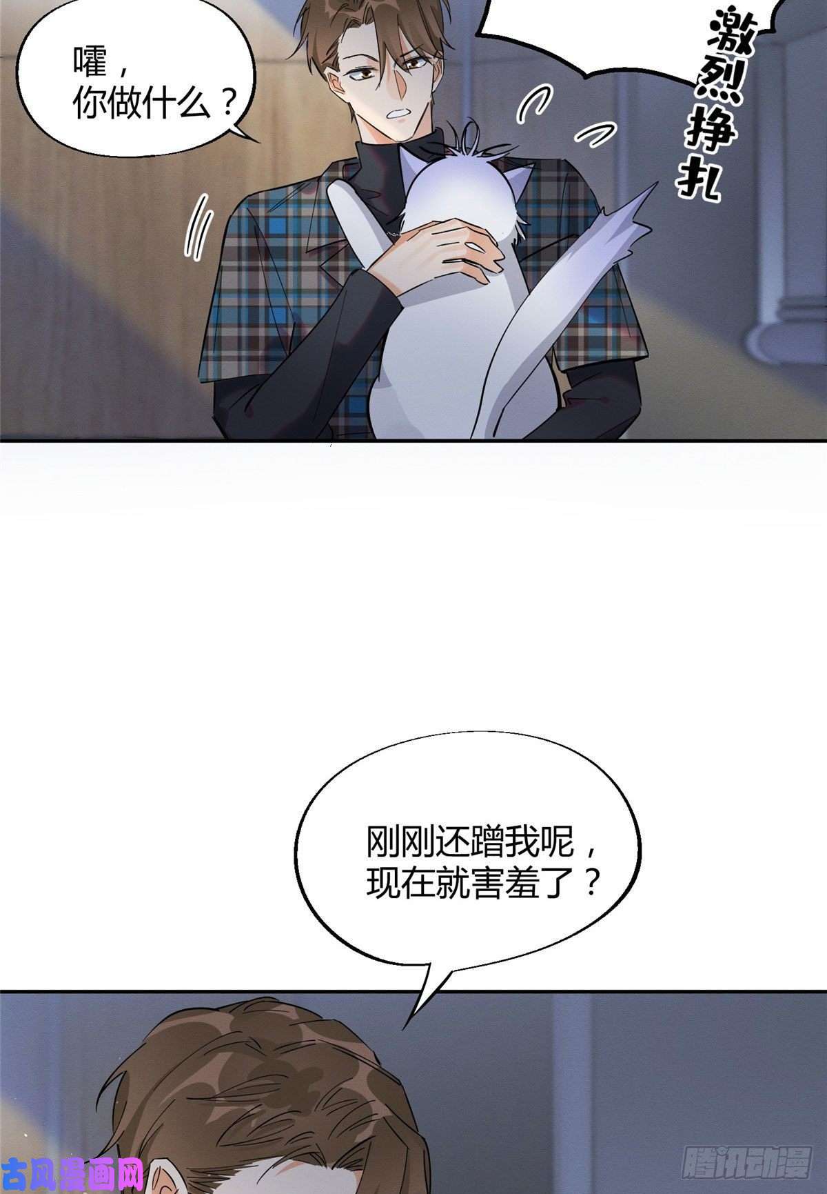 今天也要努力当只猫第23话 机会来了！