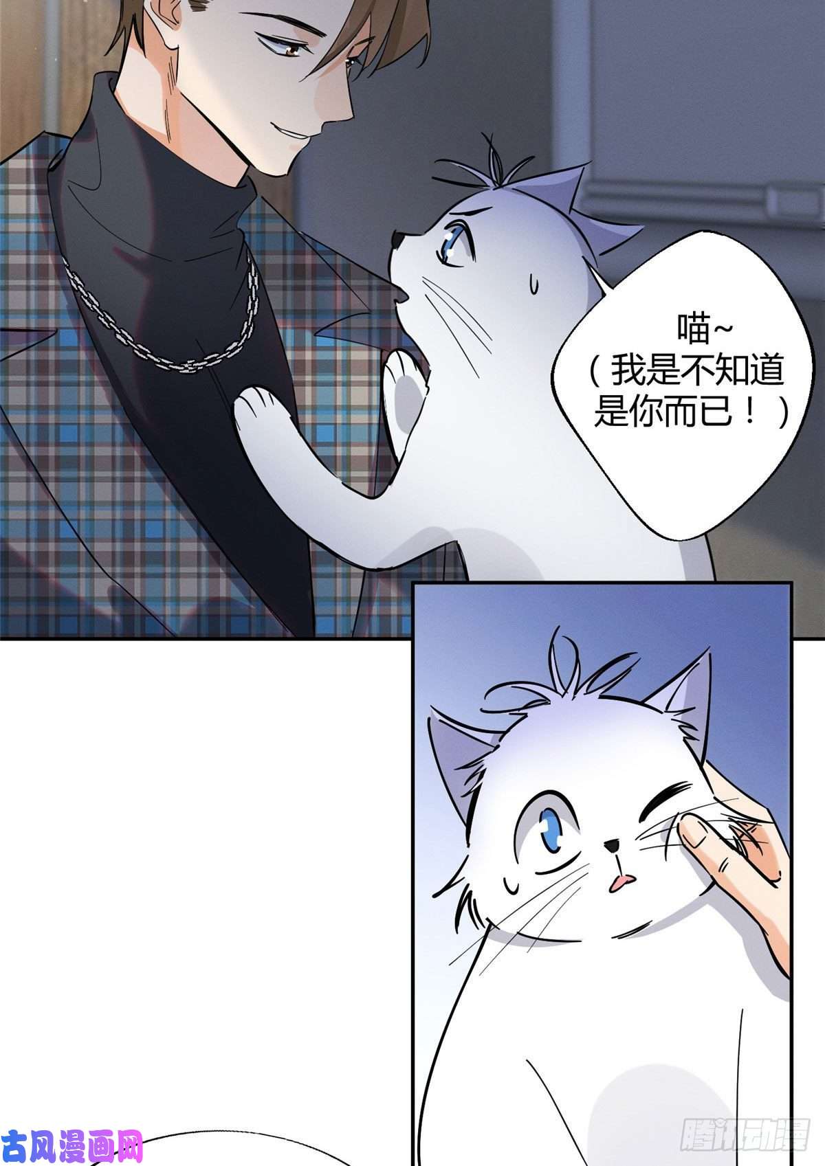 今天也要努力当只猫第23话 机会来了！