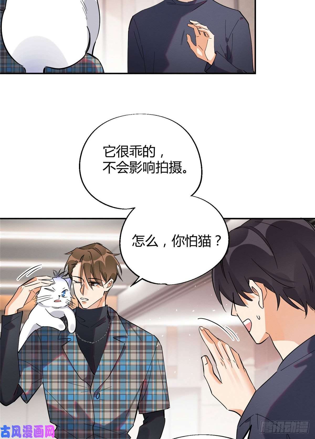 今天也要努力当只猫第23话 机会来了！