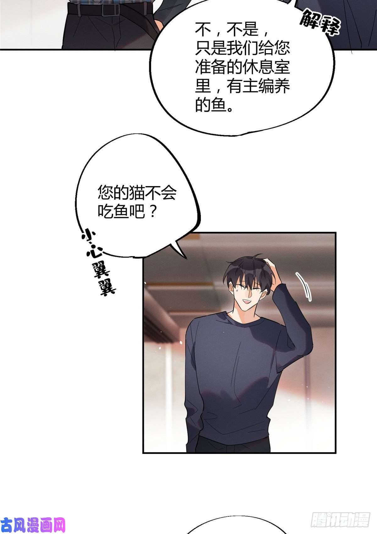 今天也要努力当只猫第23话 机会来了！