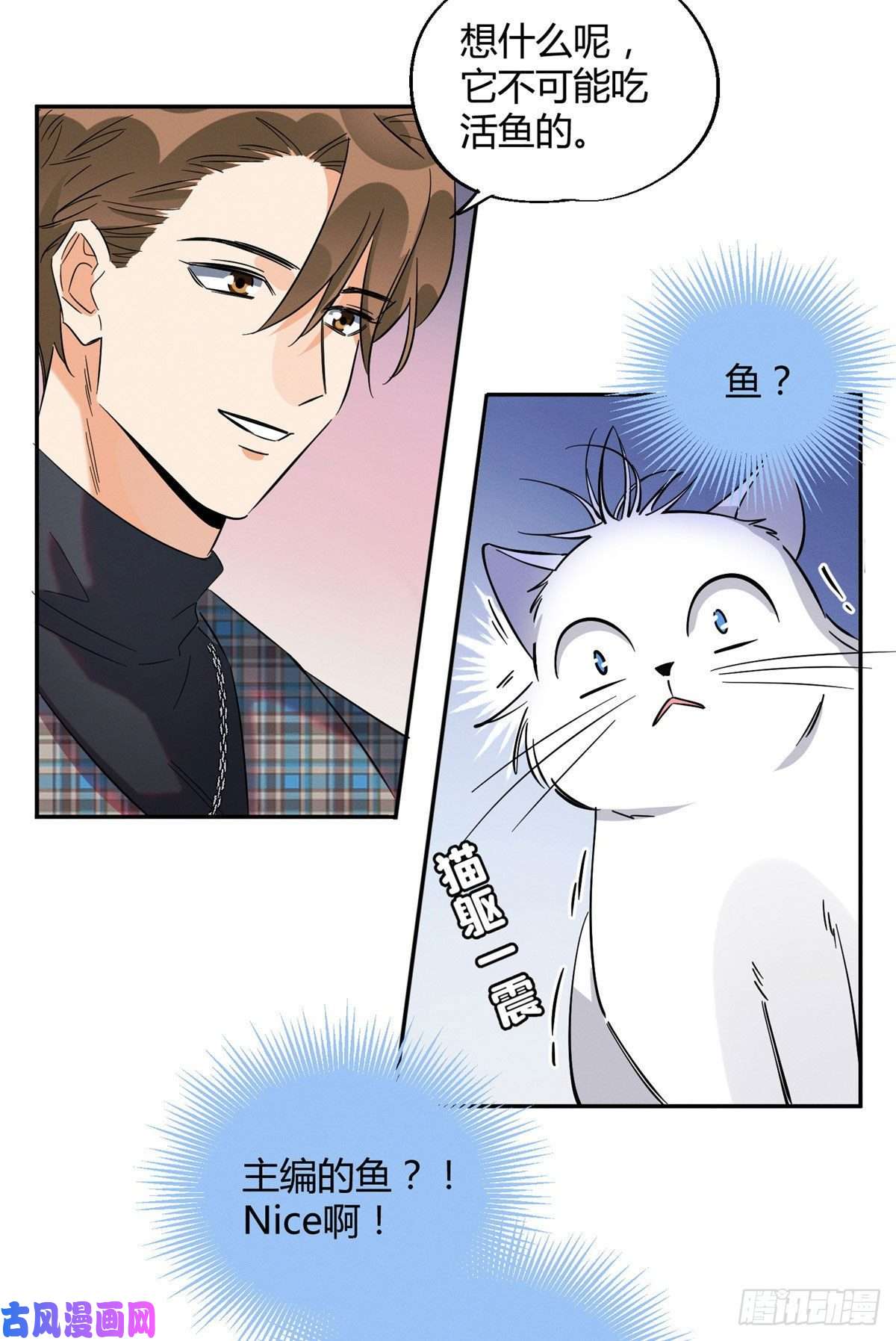 今天也要努力当只猫第23话 机会来了！