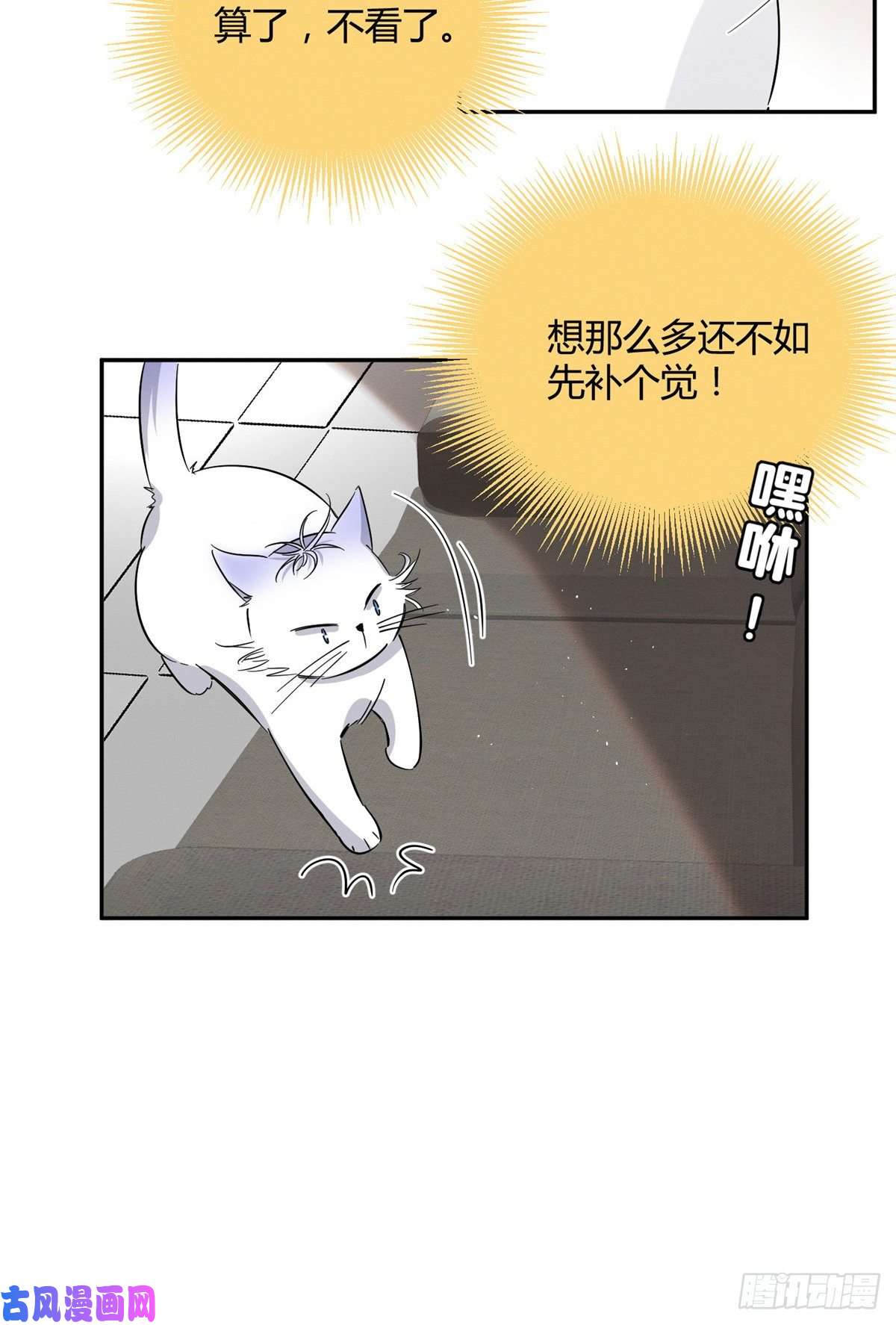 今天也要努力当只猫第24话 别冤枉他