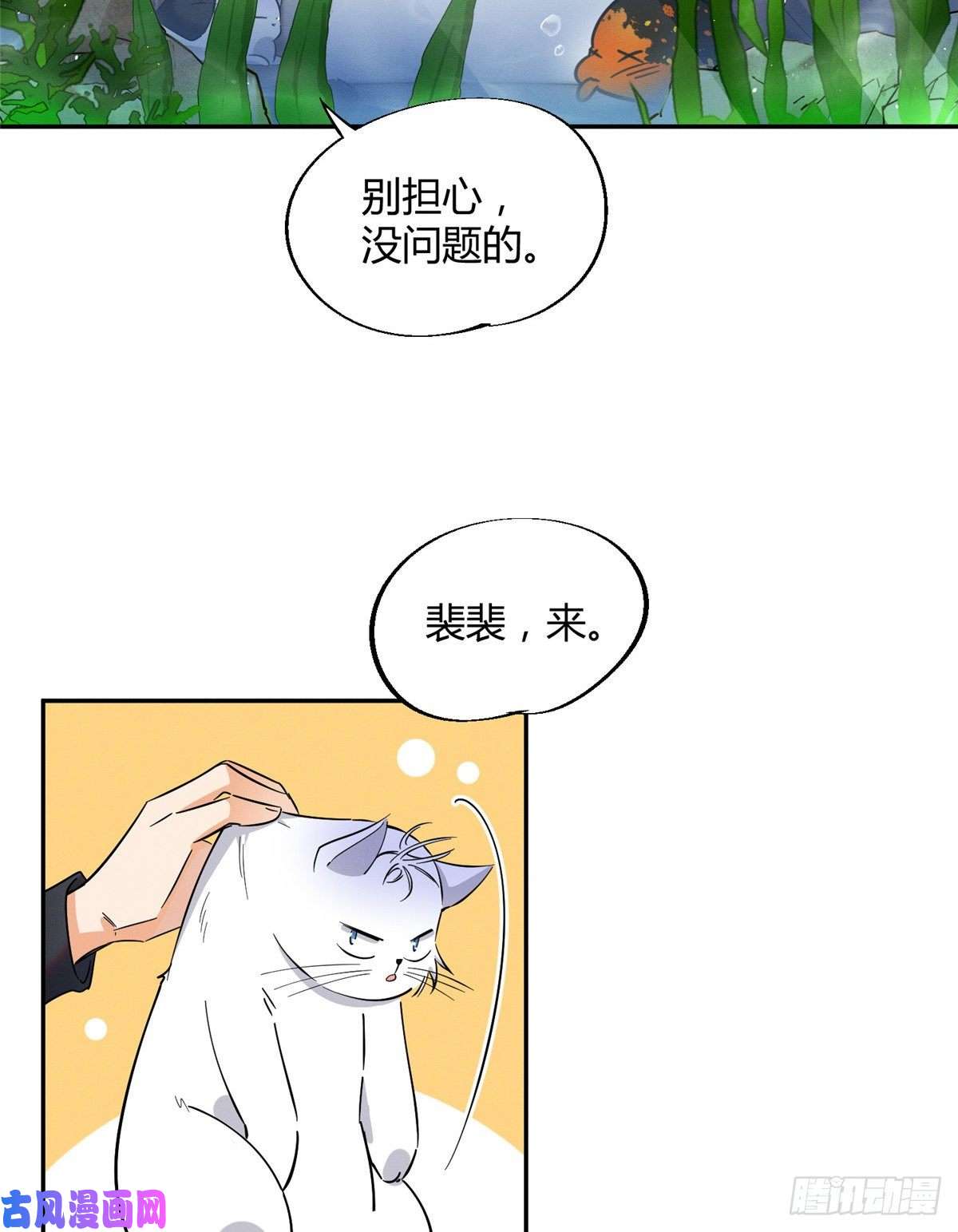 今天也要努力当只猫第24话 别冤枉他