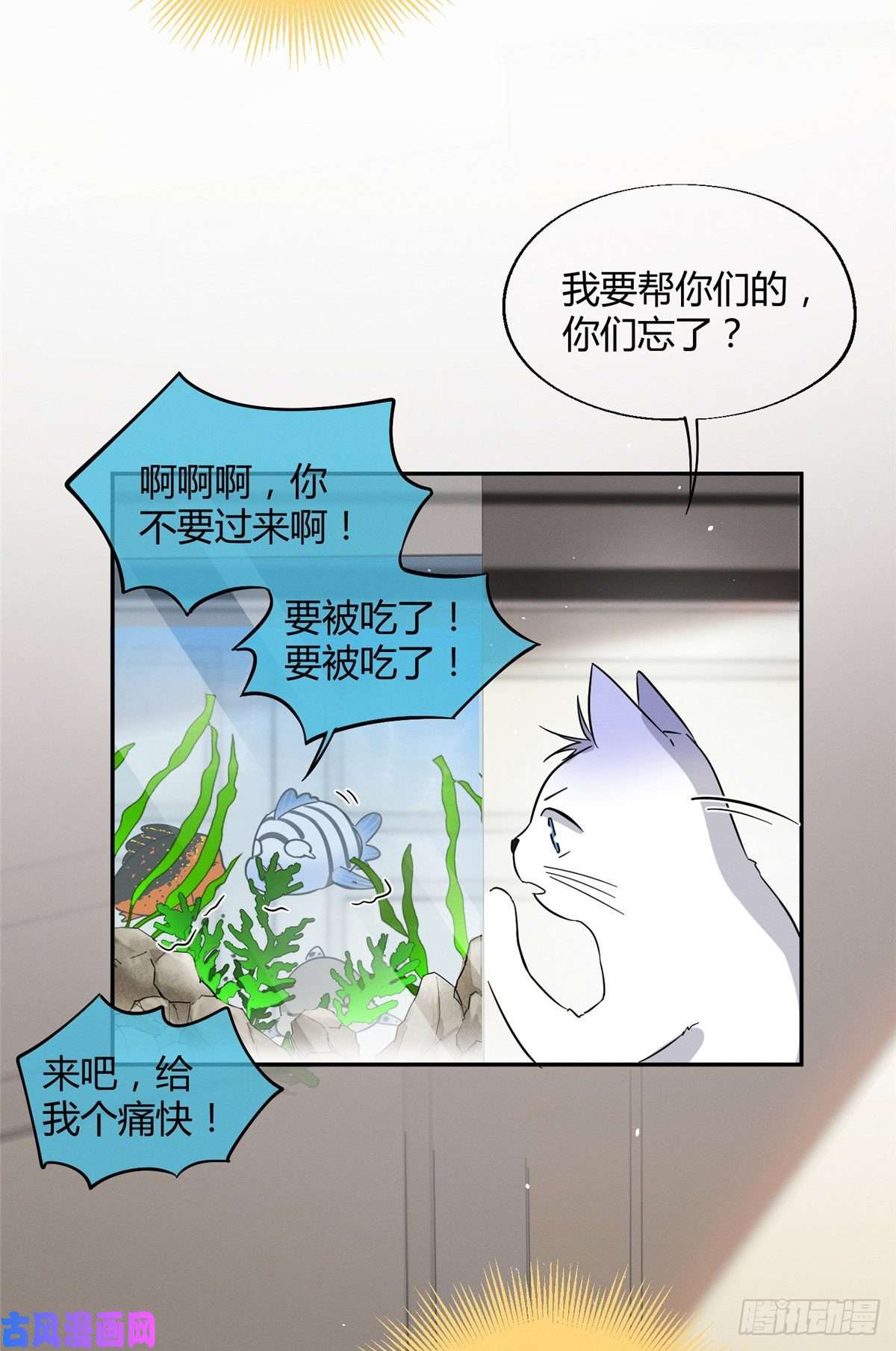 今天也要努力当只猫第24话 别冤枉他