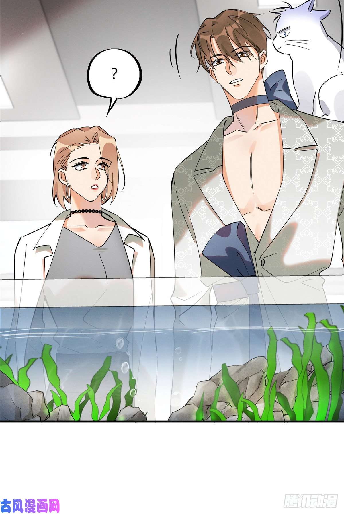 今天也要努力当只猫第24话 别冤枉他