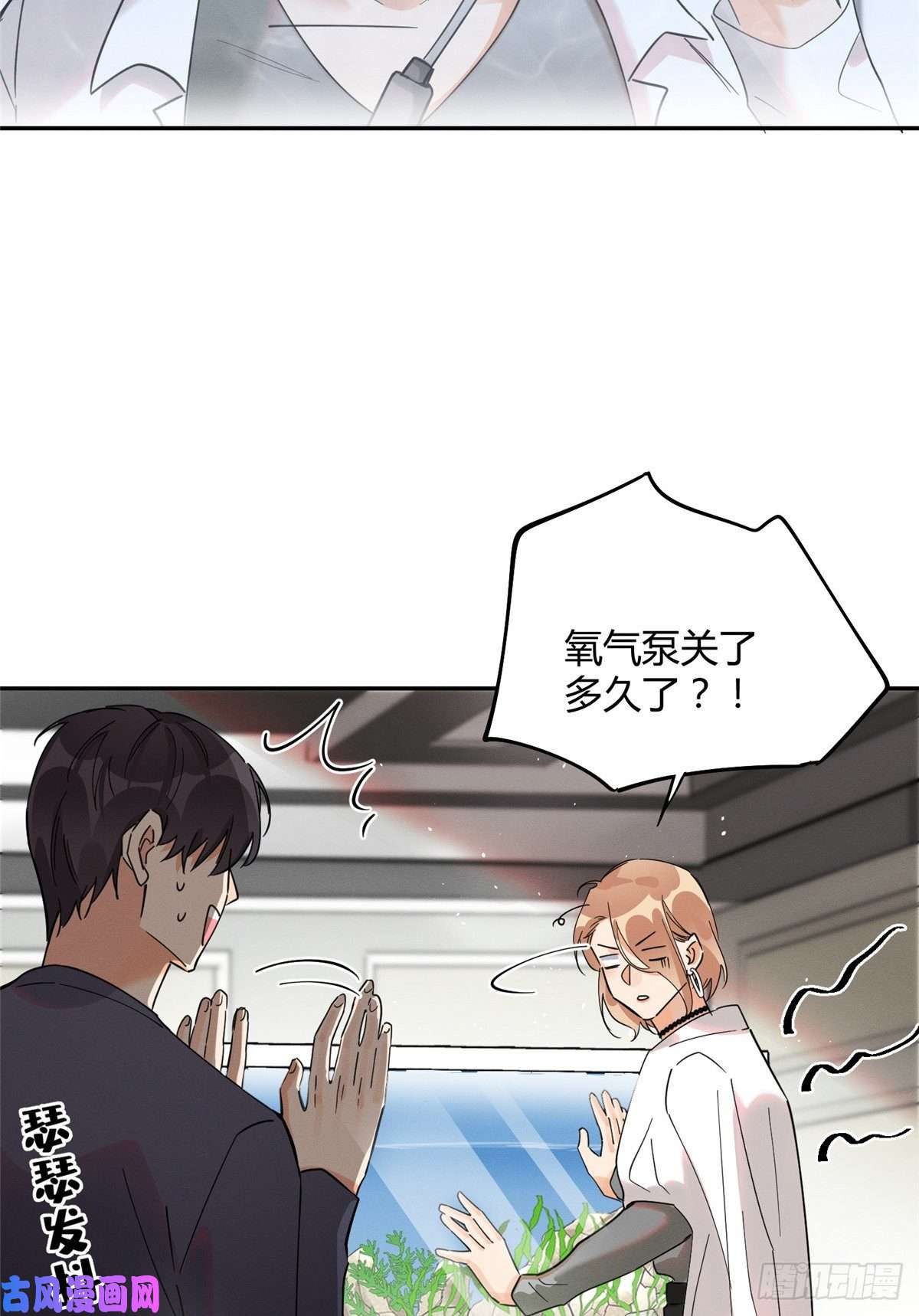 今天也要努力当只猫第24话 别冤枉他