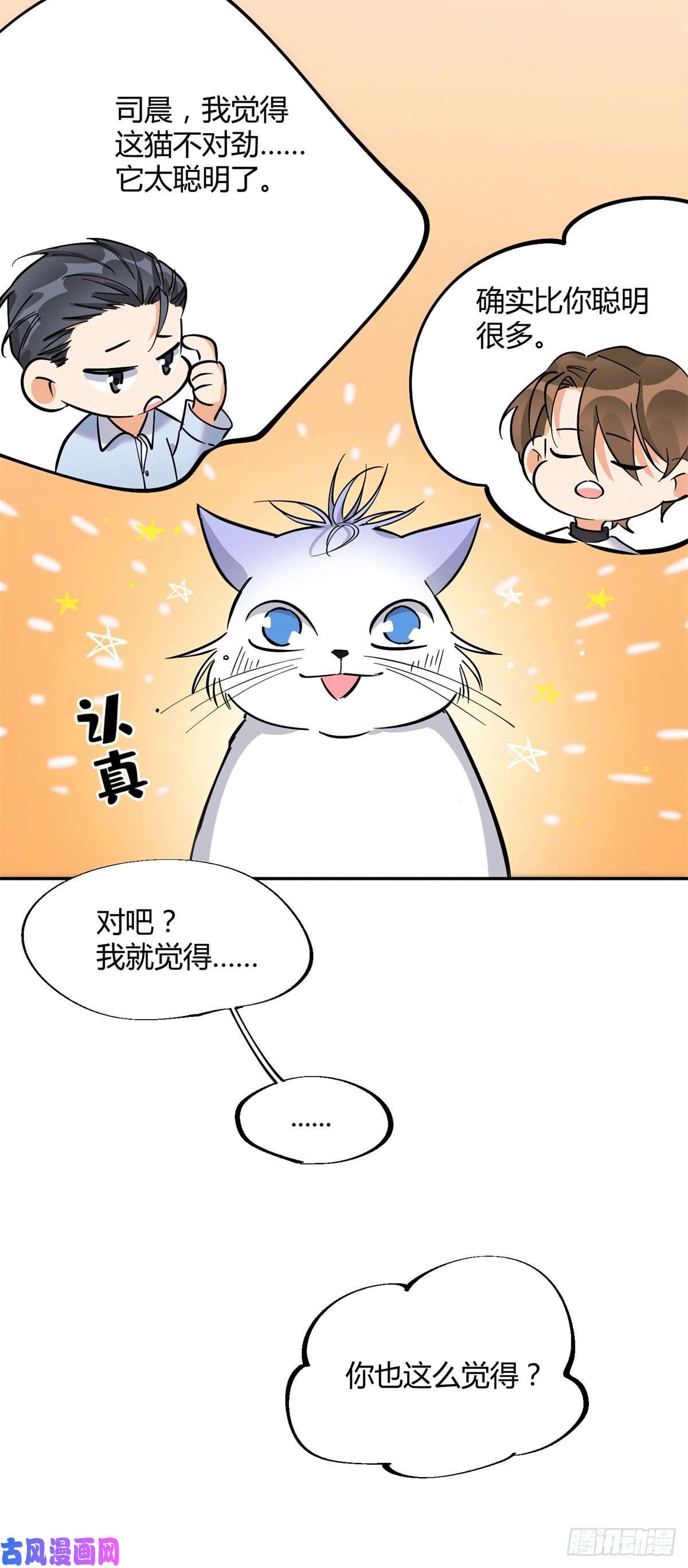 今天也要努力当只猫第25话 又亲了！