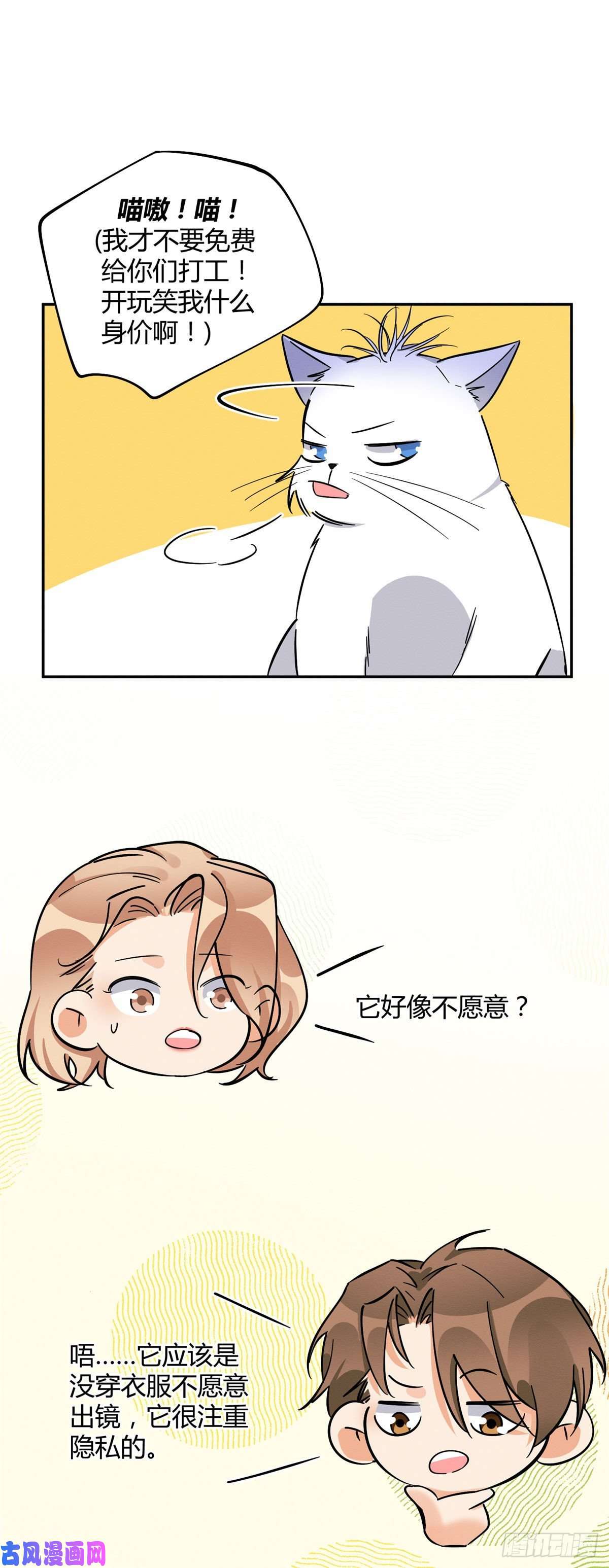 今天也要努力当只猫第25话 又亲了！