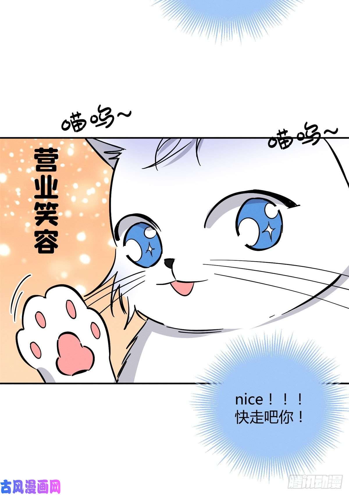 今天也要努力当只猫第25话 又亲了！