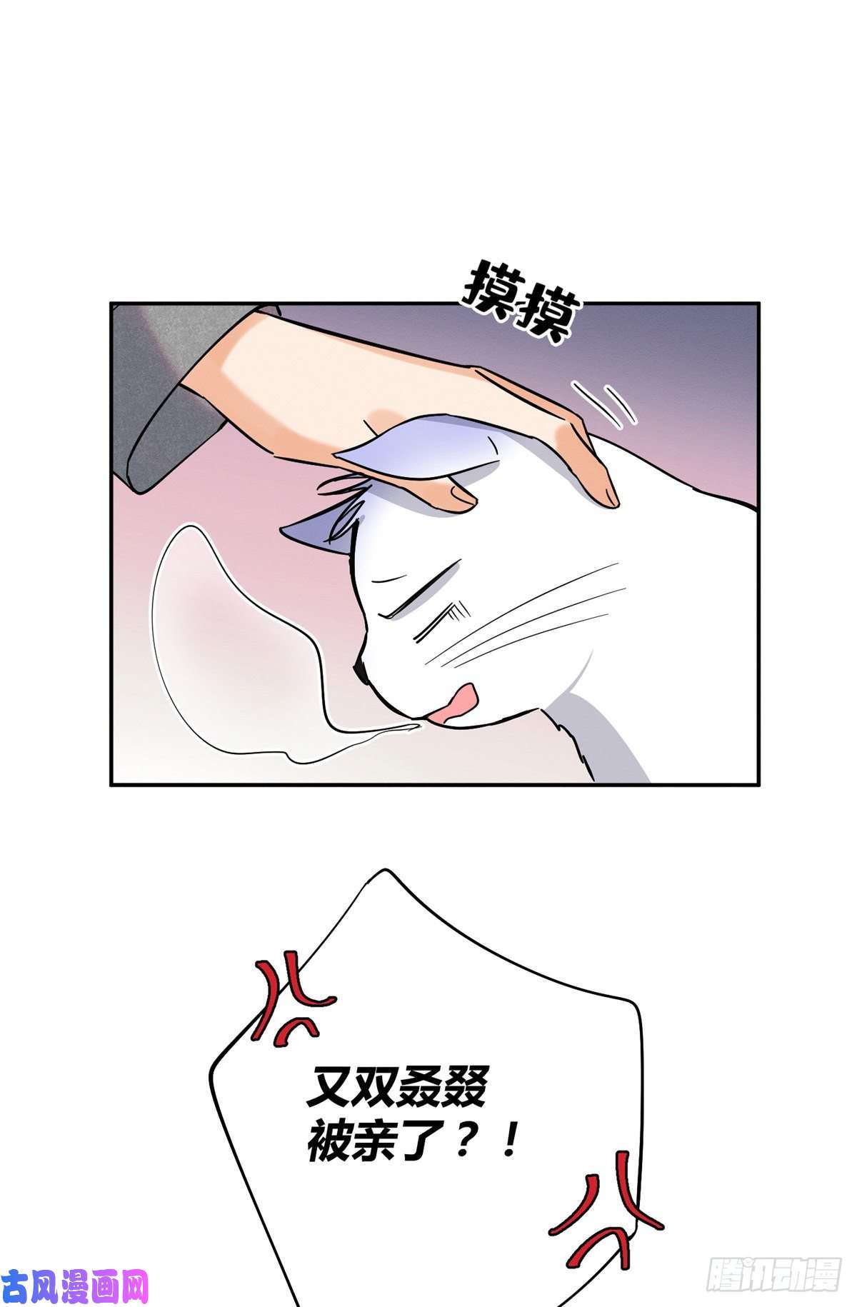 今天也要努力当只猫第25话 又亲了！