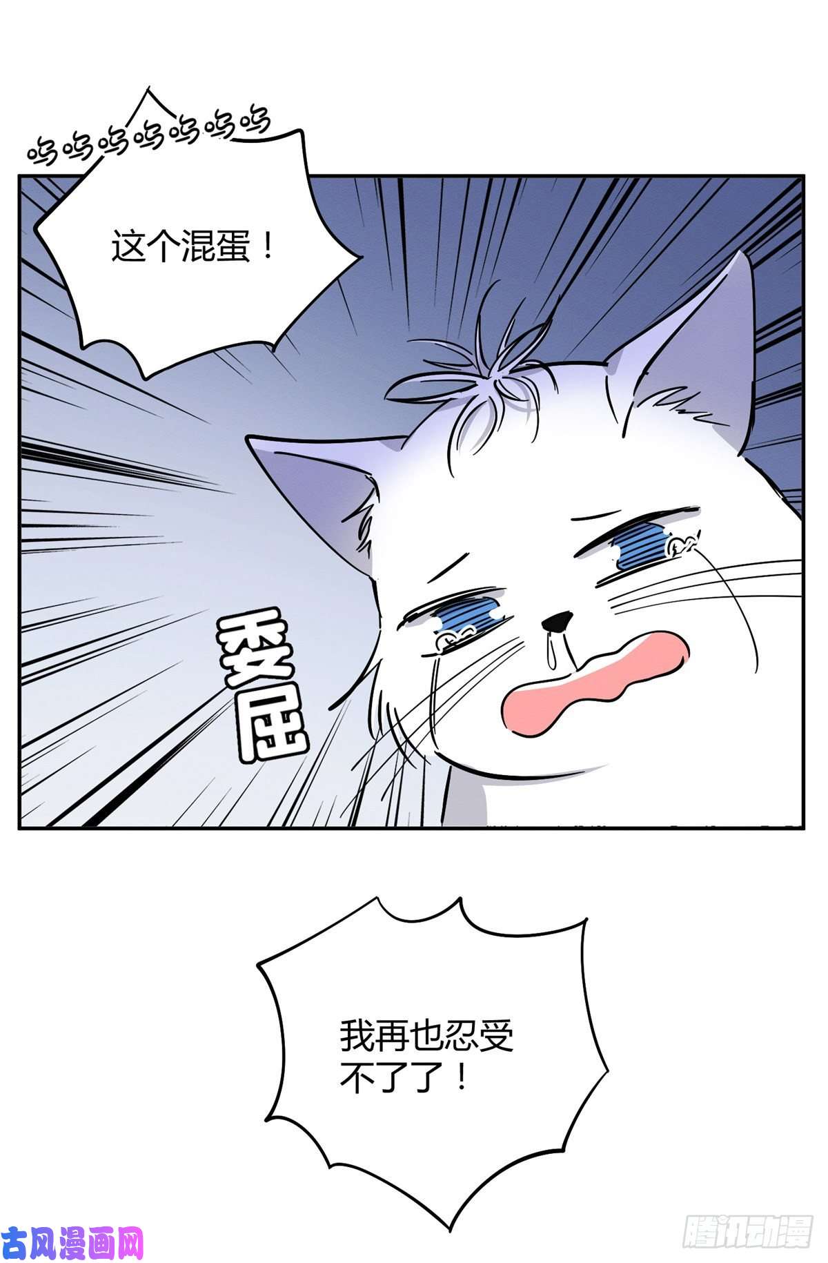 今天也要努力当只猫第25话 又亲了！