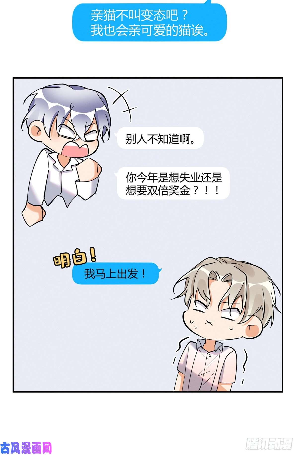 今天也要努力当只猫第25话 又亲了！