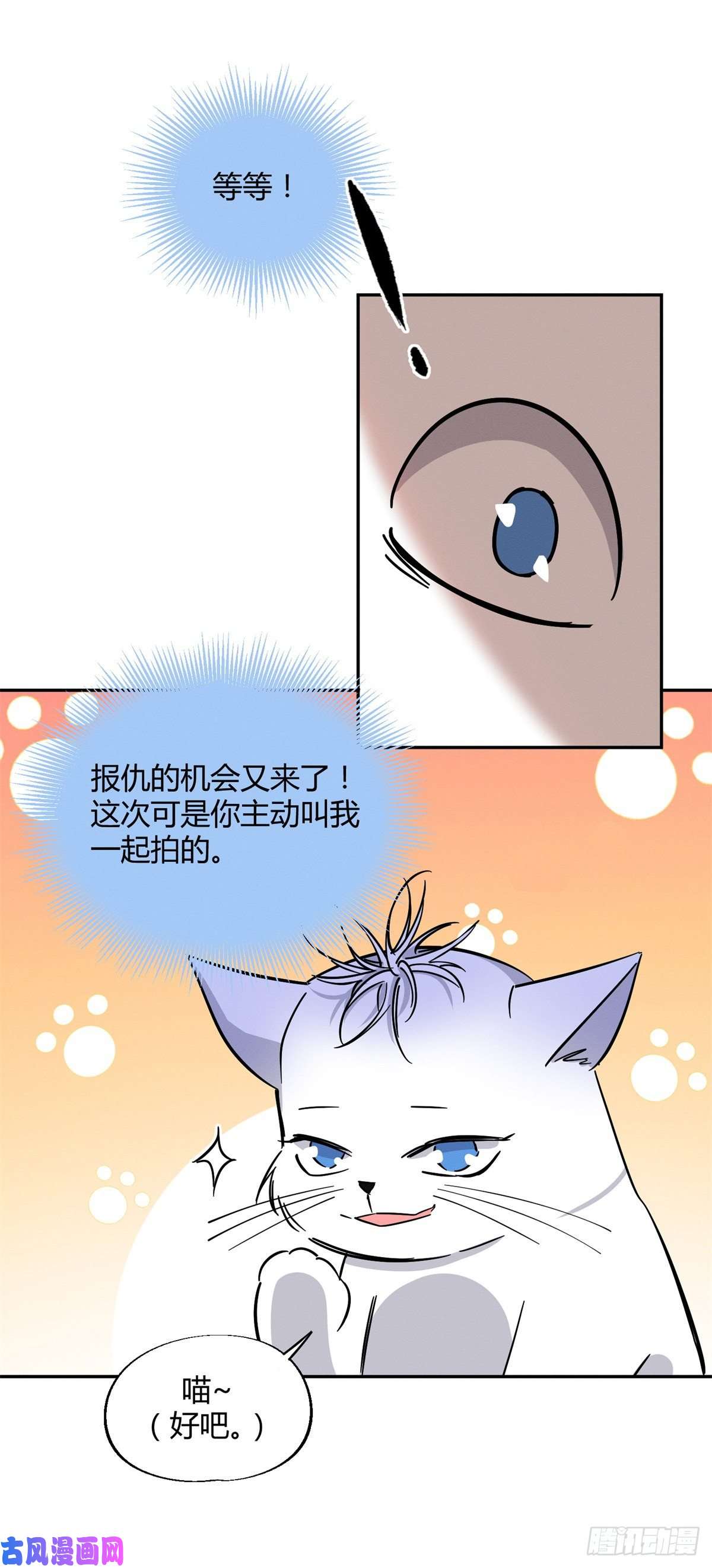 今天也要努力当只猫第25话 又亲了！