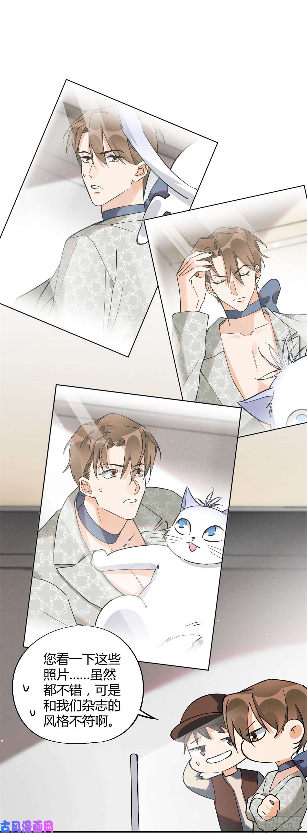 今天也要努力当只猫第25话 又亲了！