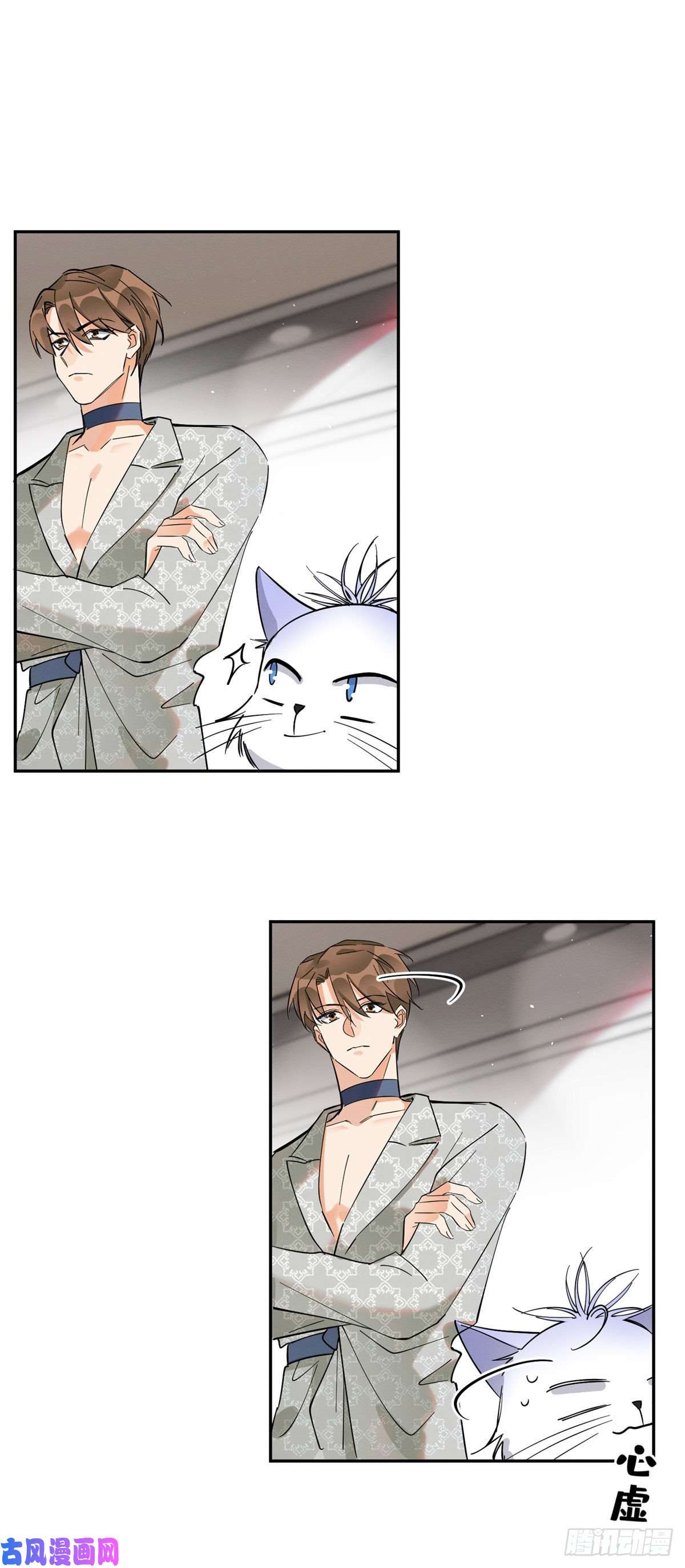 今天也要努力当只猫第25话 又亲了！